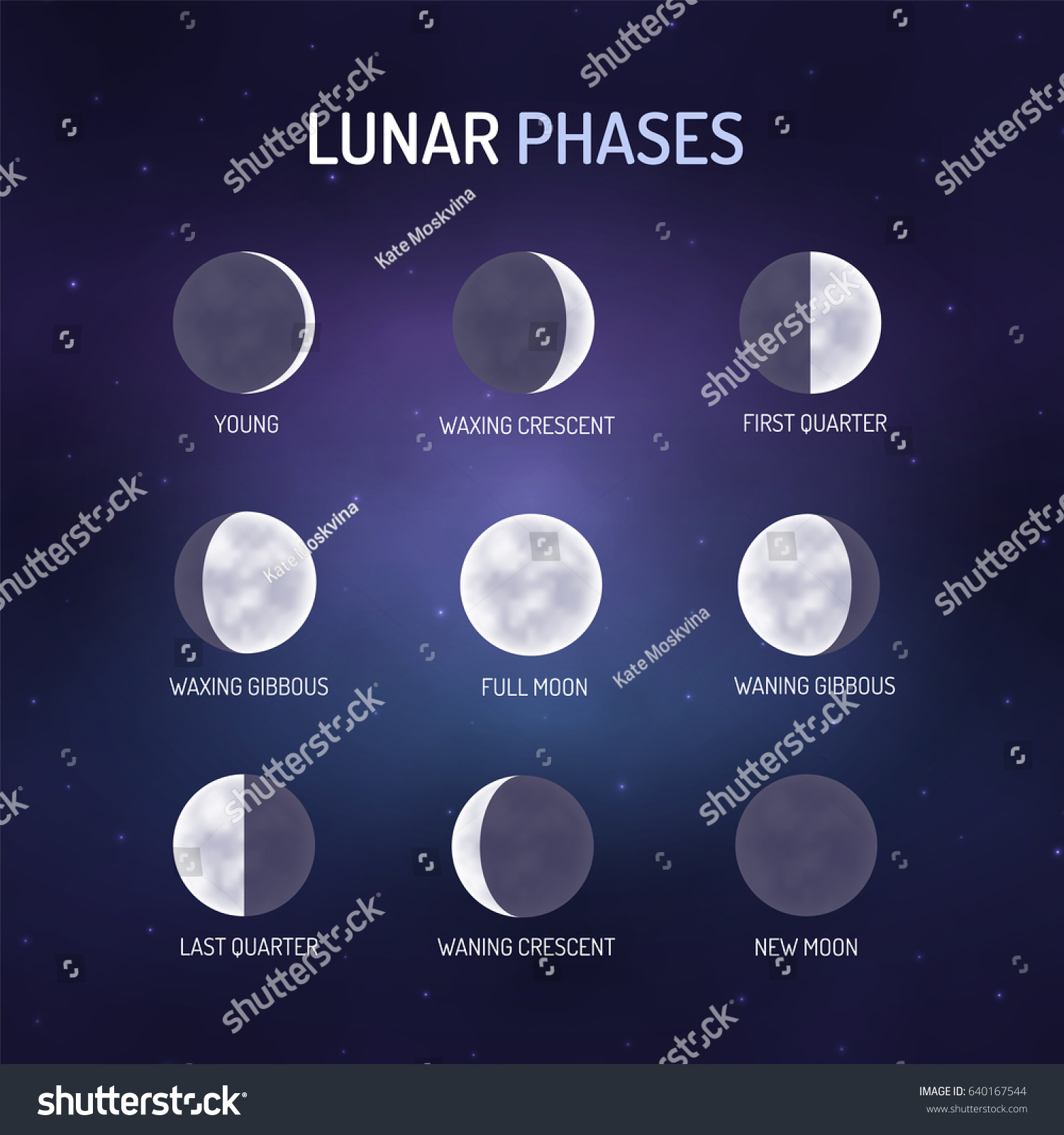 Lunar Phases Visual Teaching Material On Stock Vector (Royalty Free ...