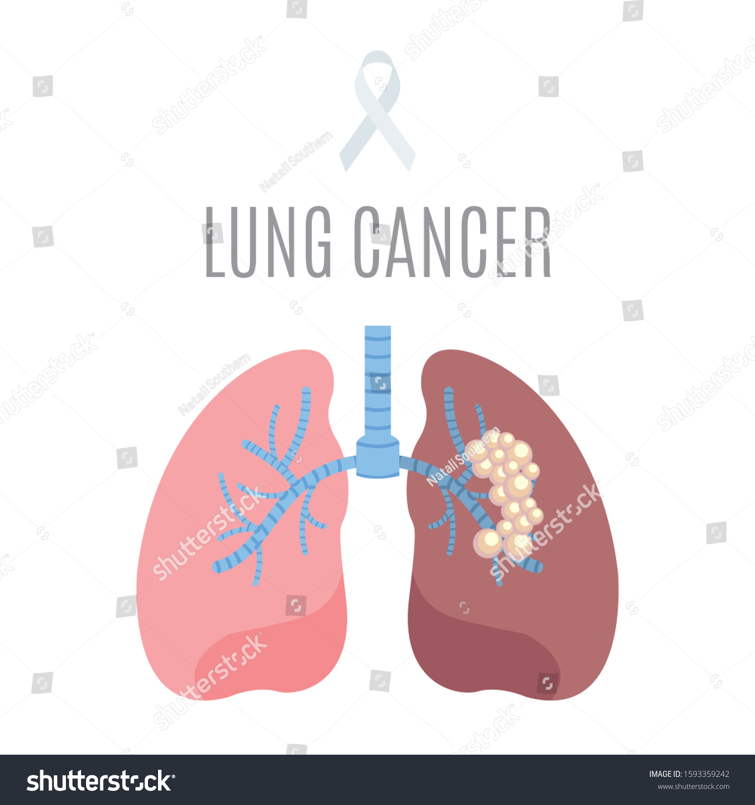 Lung Cancer Anatomical Vector Drawing Ribbon Stock Vector Royalty Free
