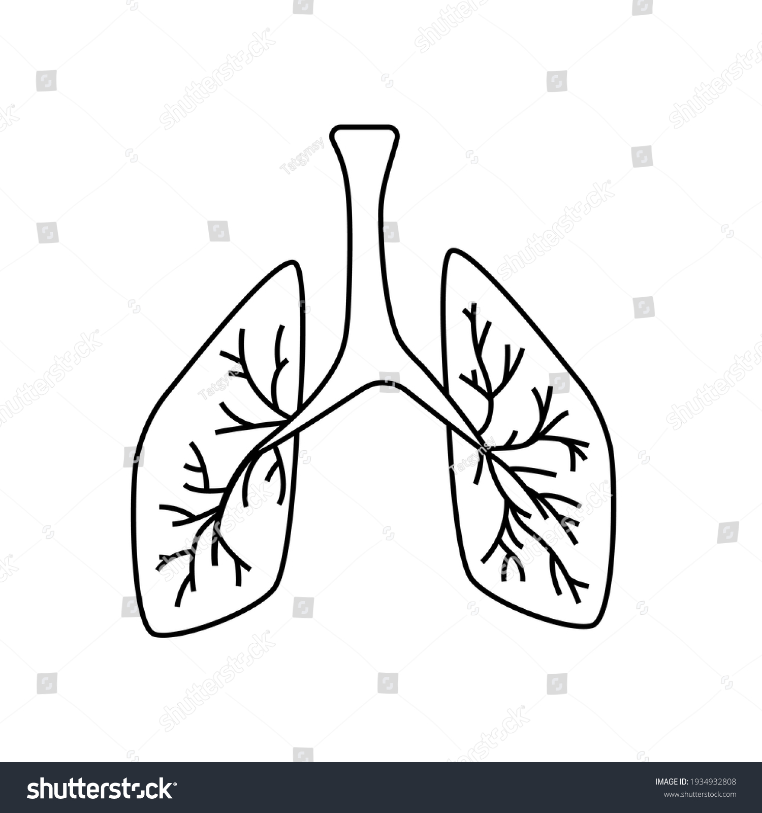 11,483 Oxygen body Images, Stock Photos & Vectors | Shutterstock