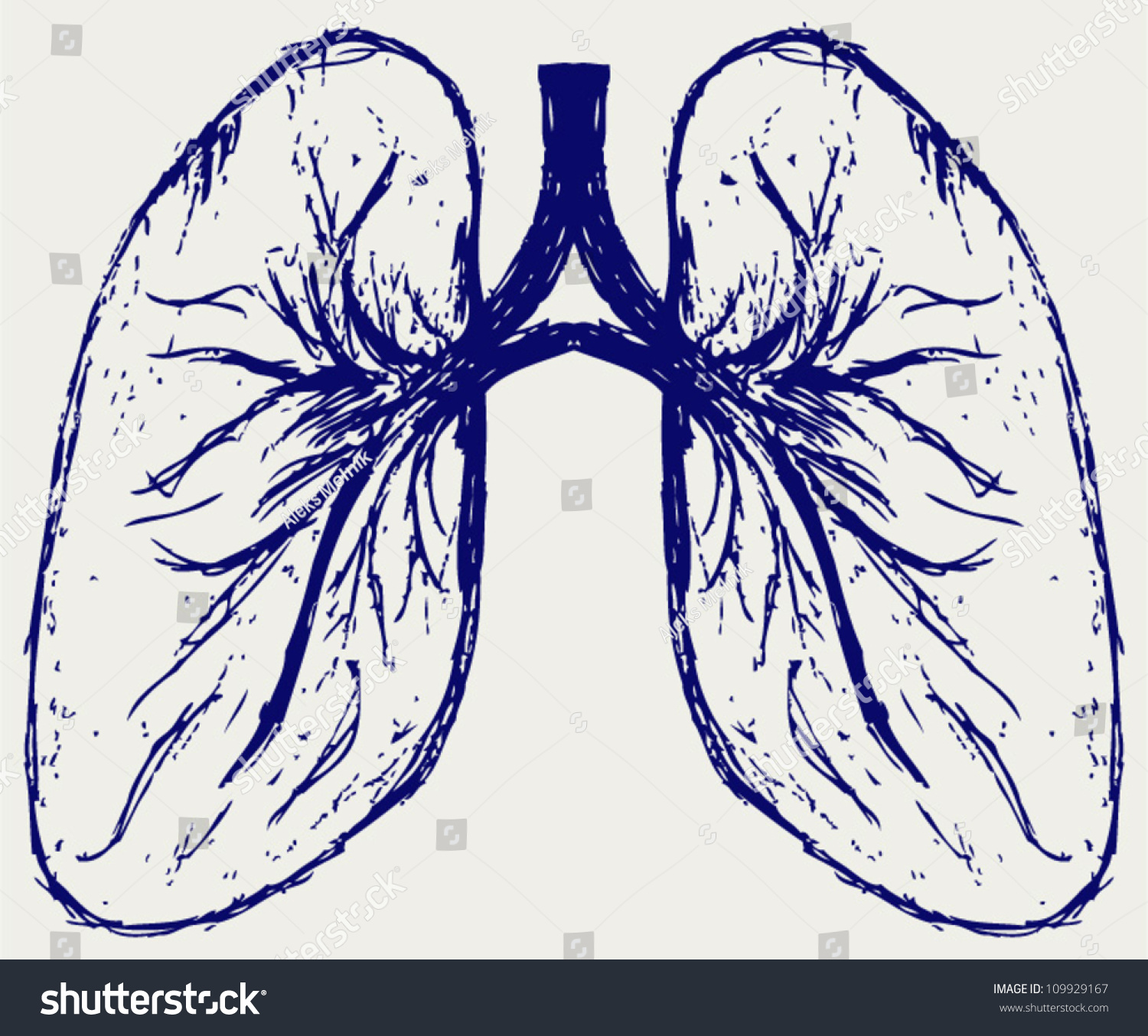 Lungs Person Sketch Stock Vector 109929167 - Shutterstock