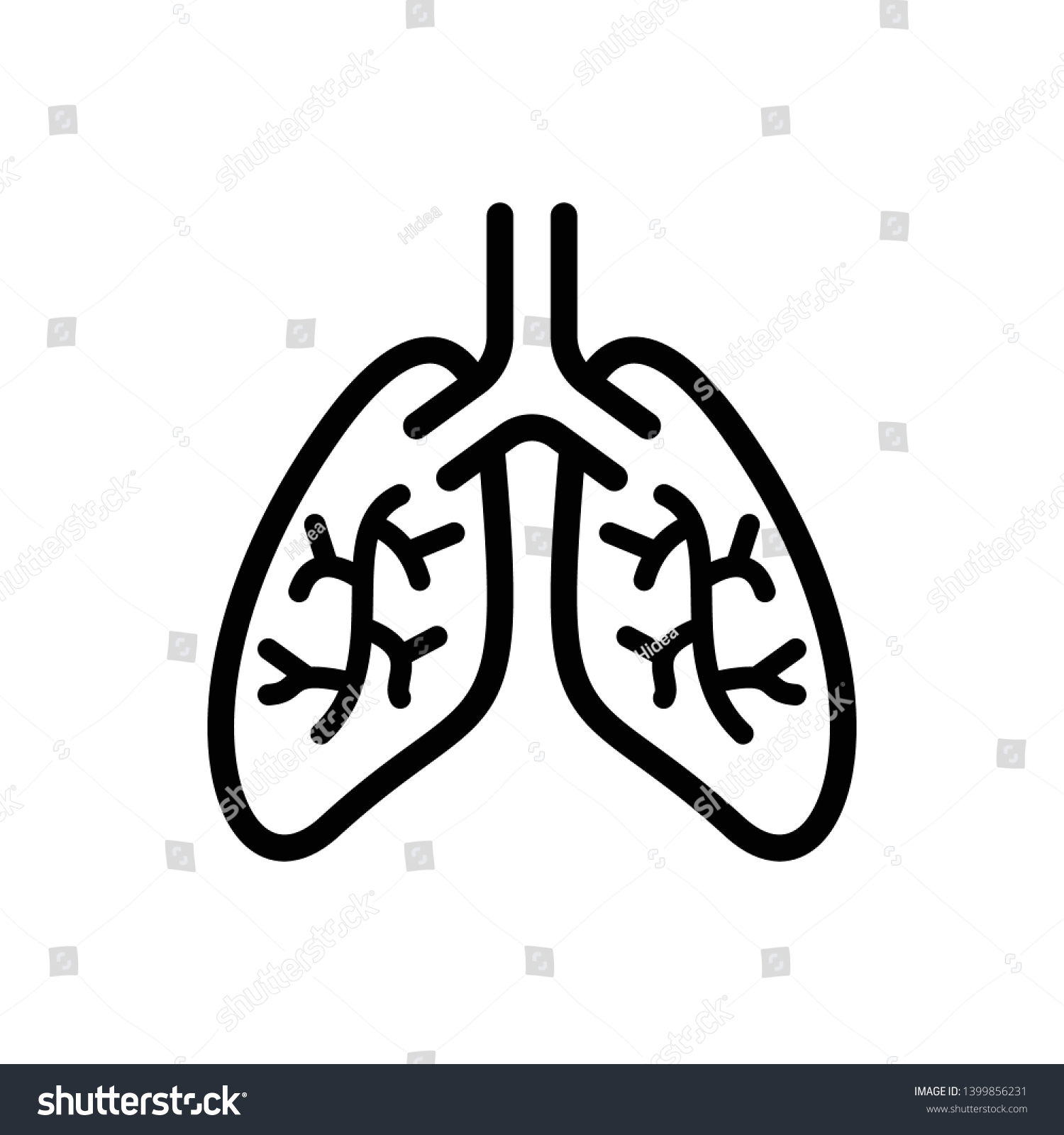 97,488 Lungs vector Images, Stock Photos & Vectors | Shutterstock