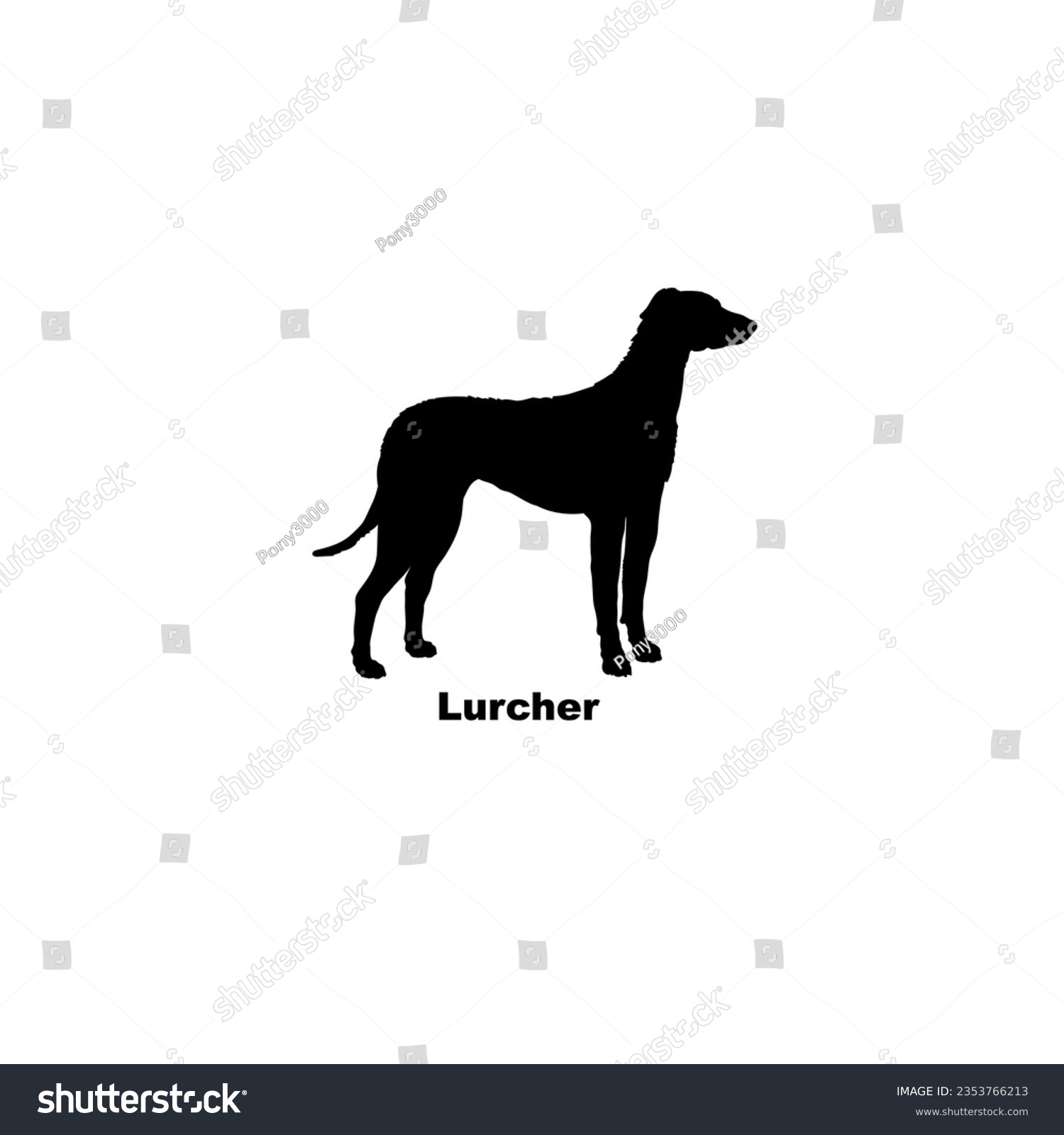 SVG of Lurcher dog silhouette dog breeds Animal Pet svg