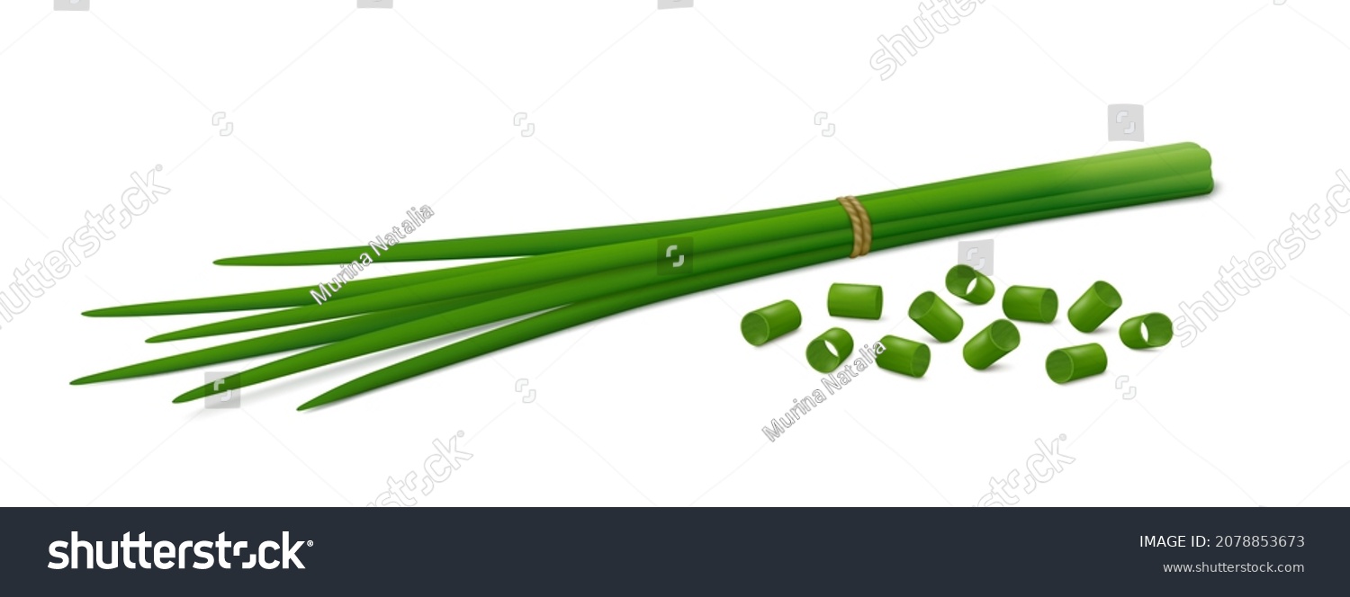 SVG of Lying down bunch of fresh chives with group of chopped green onions isolated on white background. Side view. Realistic vector illustration. svg