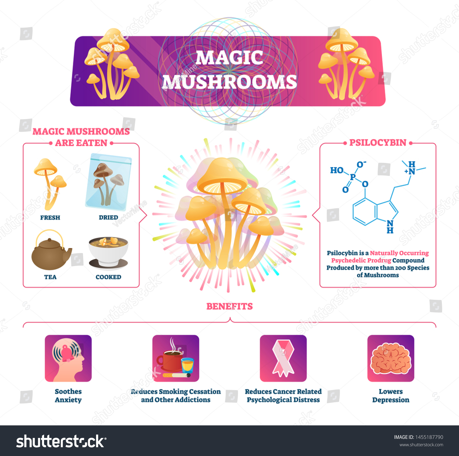 Magic Mushrooms Vector Illustration Labeled Poison: vector de stock (libre de regalías) 1455187790 - Shutterstock