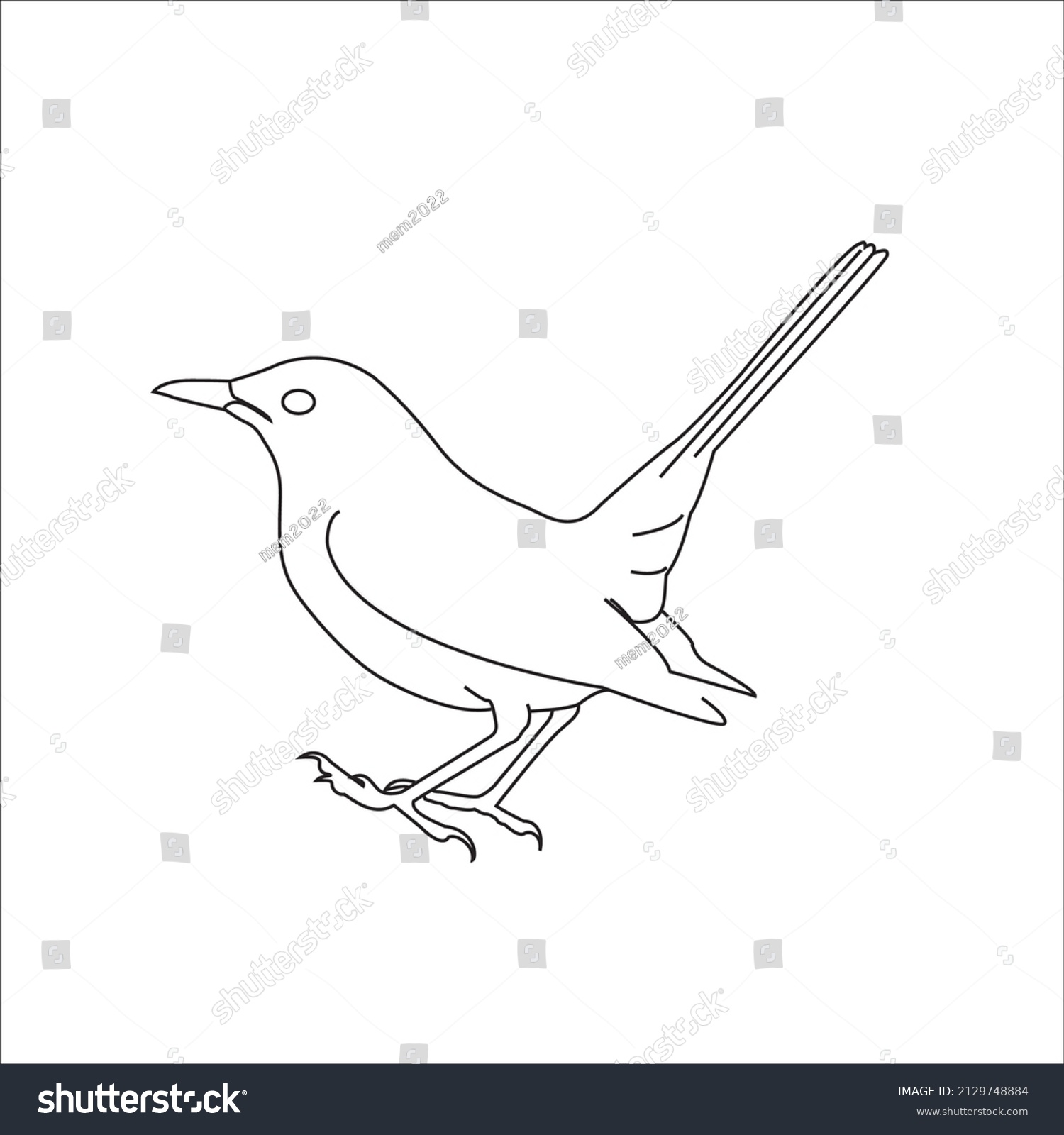 Magpie Coloring Page Vector Line Art Stock Vector (Royalty Free