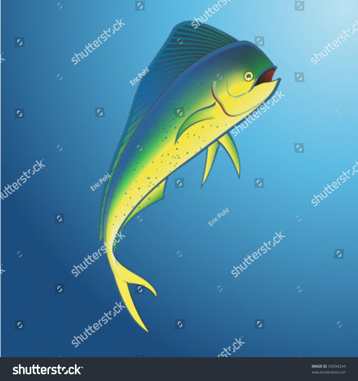Mahi Mahi Underwater Stock Vector 54594244 Shutterstock