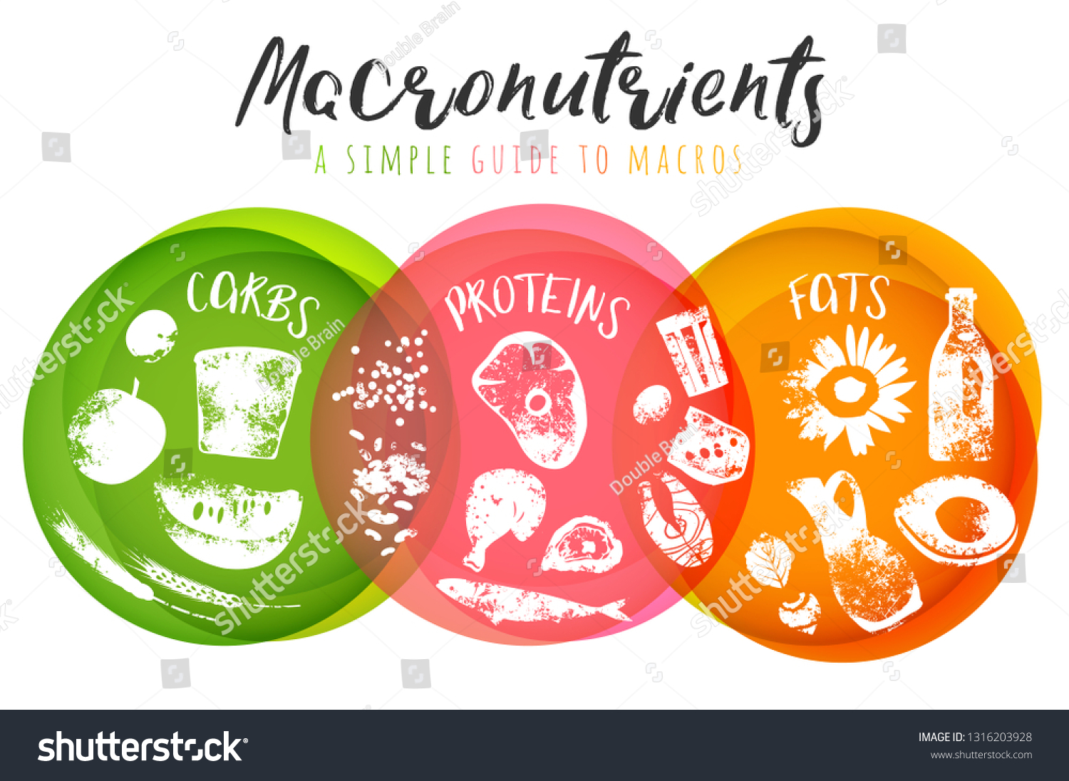 main-food-groups-macronutrients-carbohydrates-fats-stock-vector