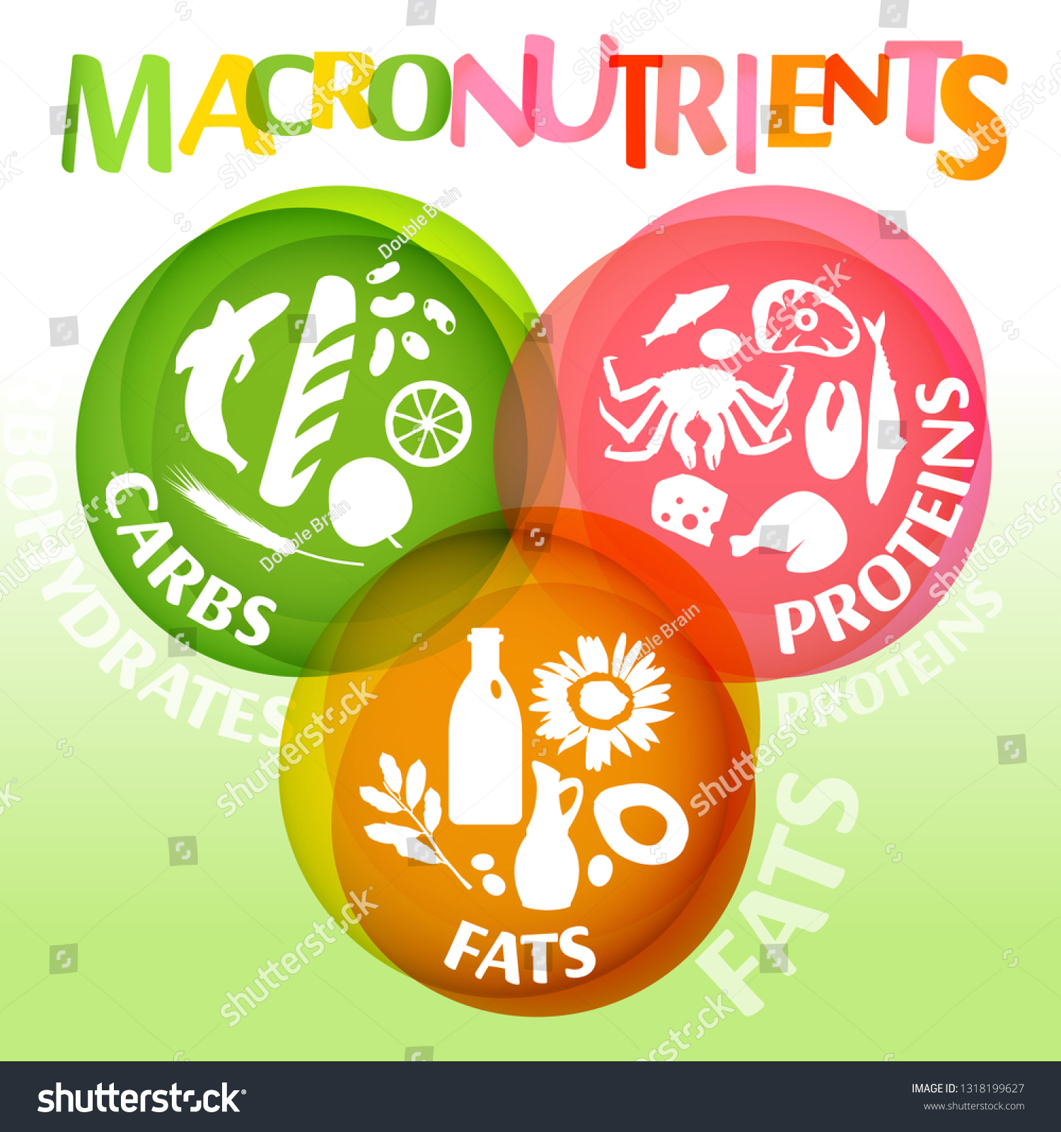 Main Food Groups Macronutrients Carbohydrates Fats Stock Vector Royalty Free 1318199627 1719