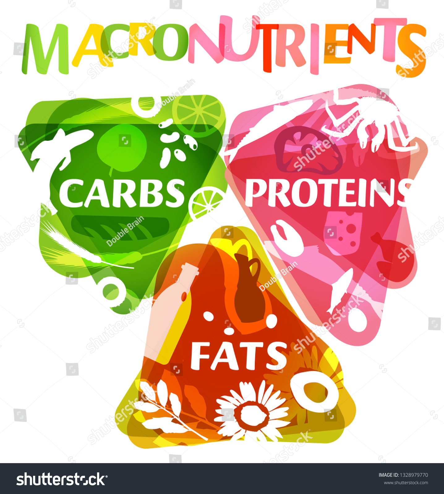 Main Food Groups Macronutrients Carbohydrates Fats Stock Vector Royalty Free 1328979770 