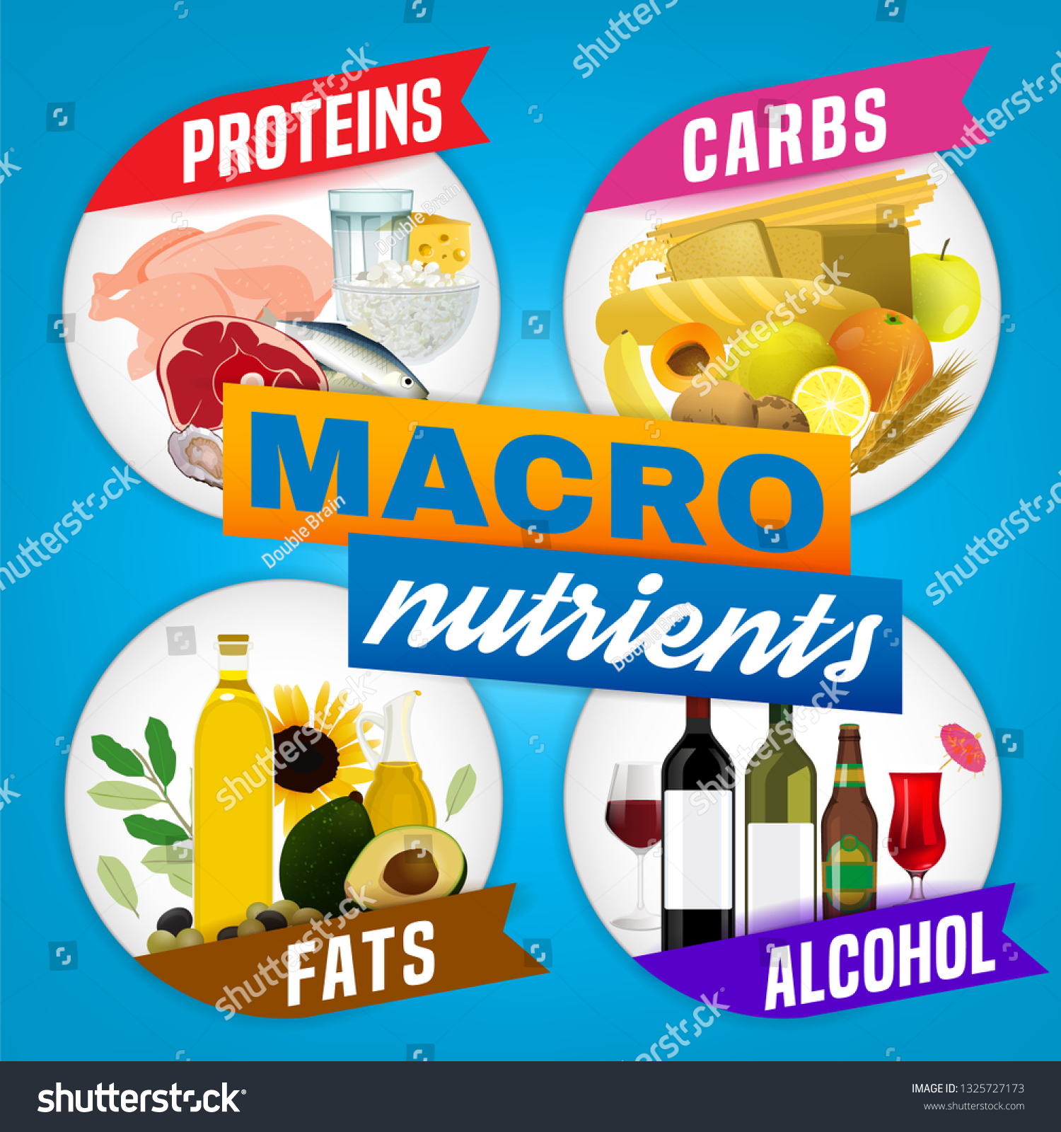 Main Food Groups Macronutrients Carbohydrates Fats Stock Vector Royalty Free 1325727173 5649