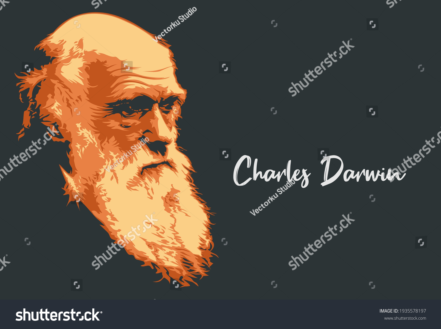 Charles darwin Stock Vectors, Images & Vector Art Shutterstock