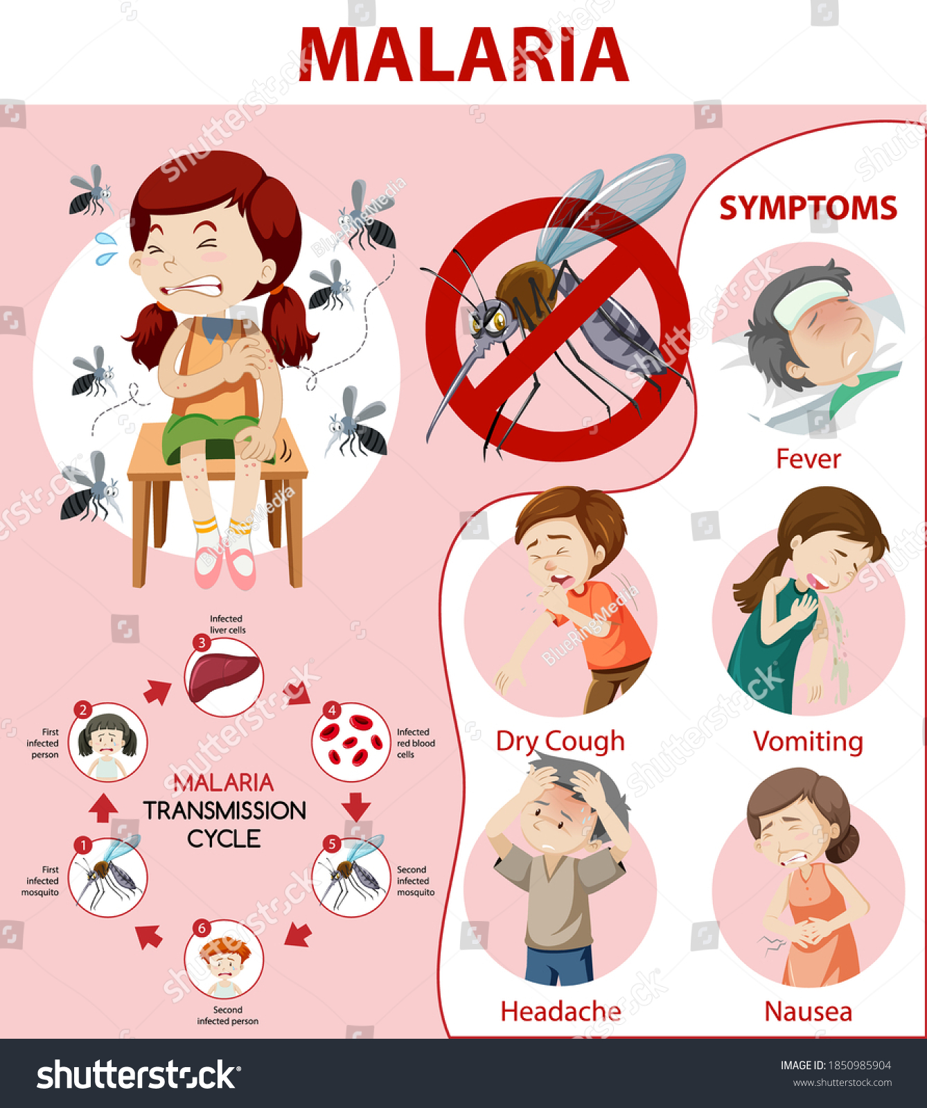 Malaria Symptom Information Infographic Illustration เวกเตอร์สต็อก