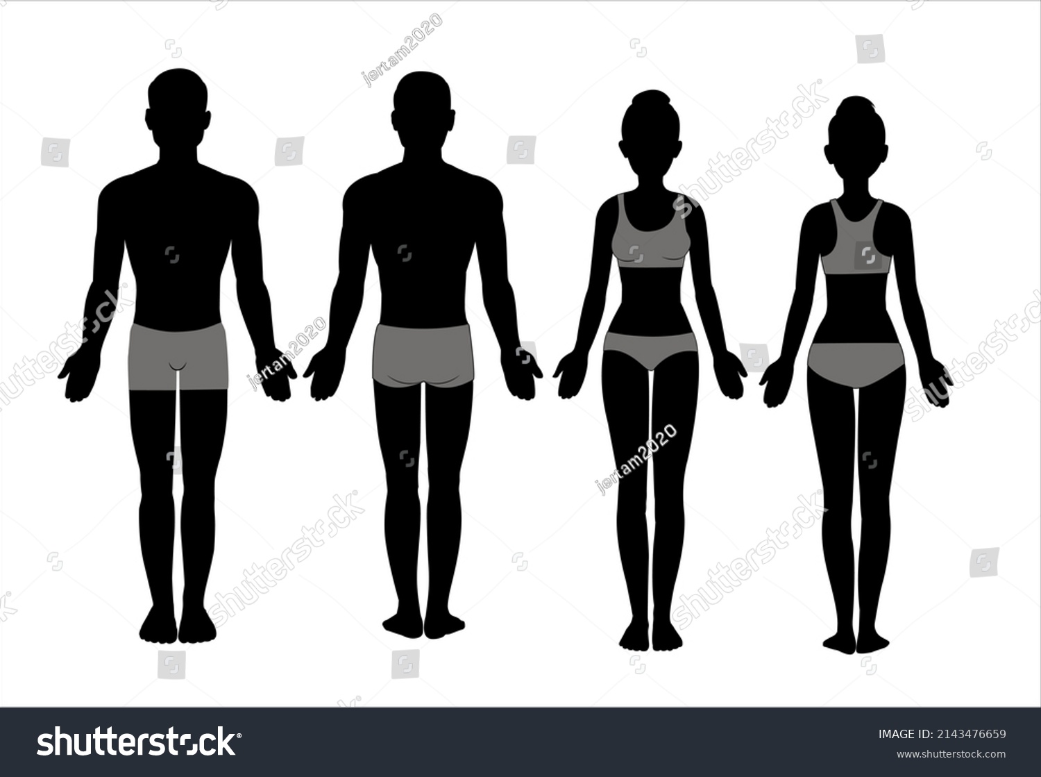 Male Female Body Chart Silhouette Front Stock Vector Royalty Free 2143476659 Shutterstock 6162