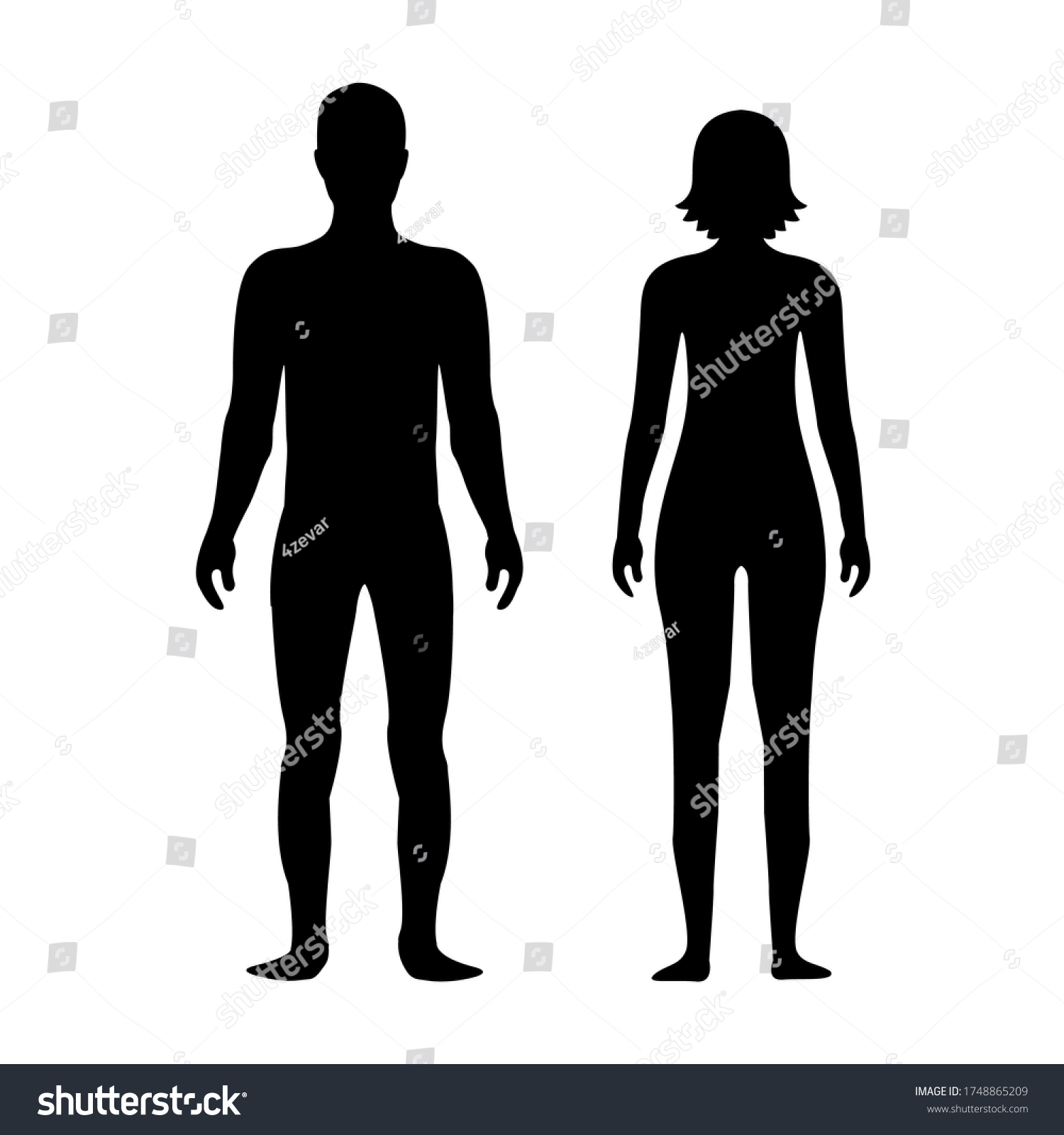 Male Female Body Silhouette Template Body Stock Vector (Royalty Free ...