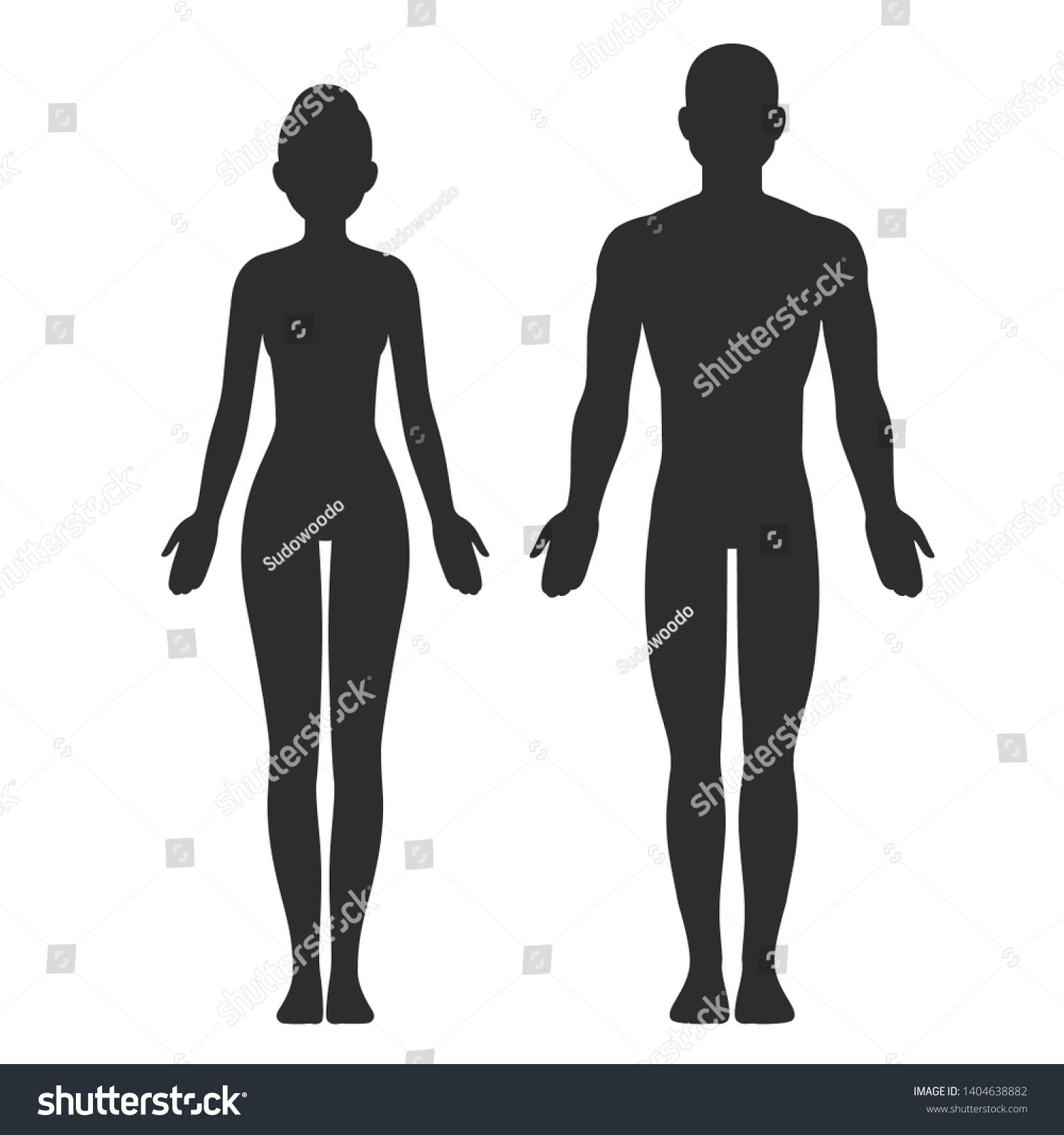 Male Female Body Silhouette Template Isolated Vetor Stock Livre De Direitos 1404638882 9584