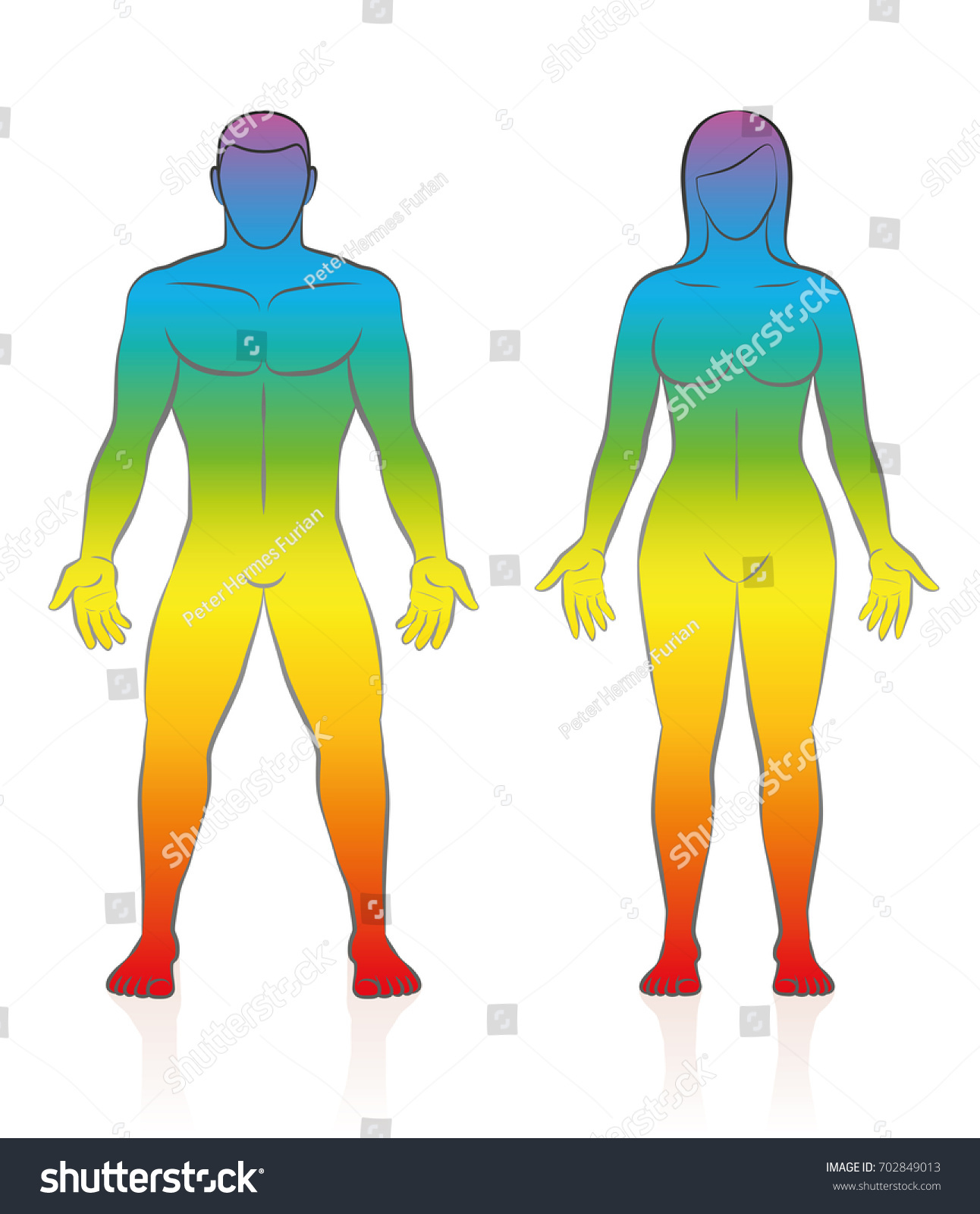 Male Female Body Silhouettes Vector Illustration 库存矢量图（免版税）702849013 Shutterstock 6669