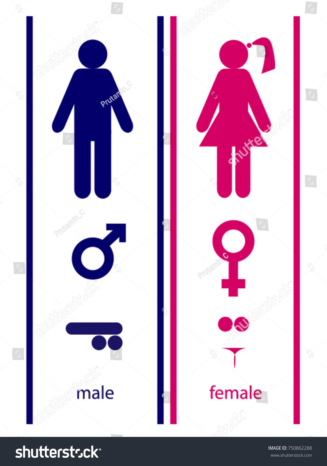 Male Female Gender Icon Vector Stock Vector Royalty Free 750862288