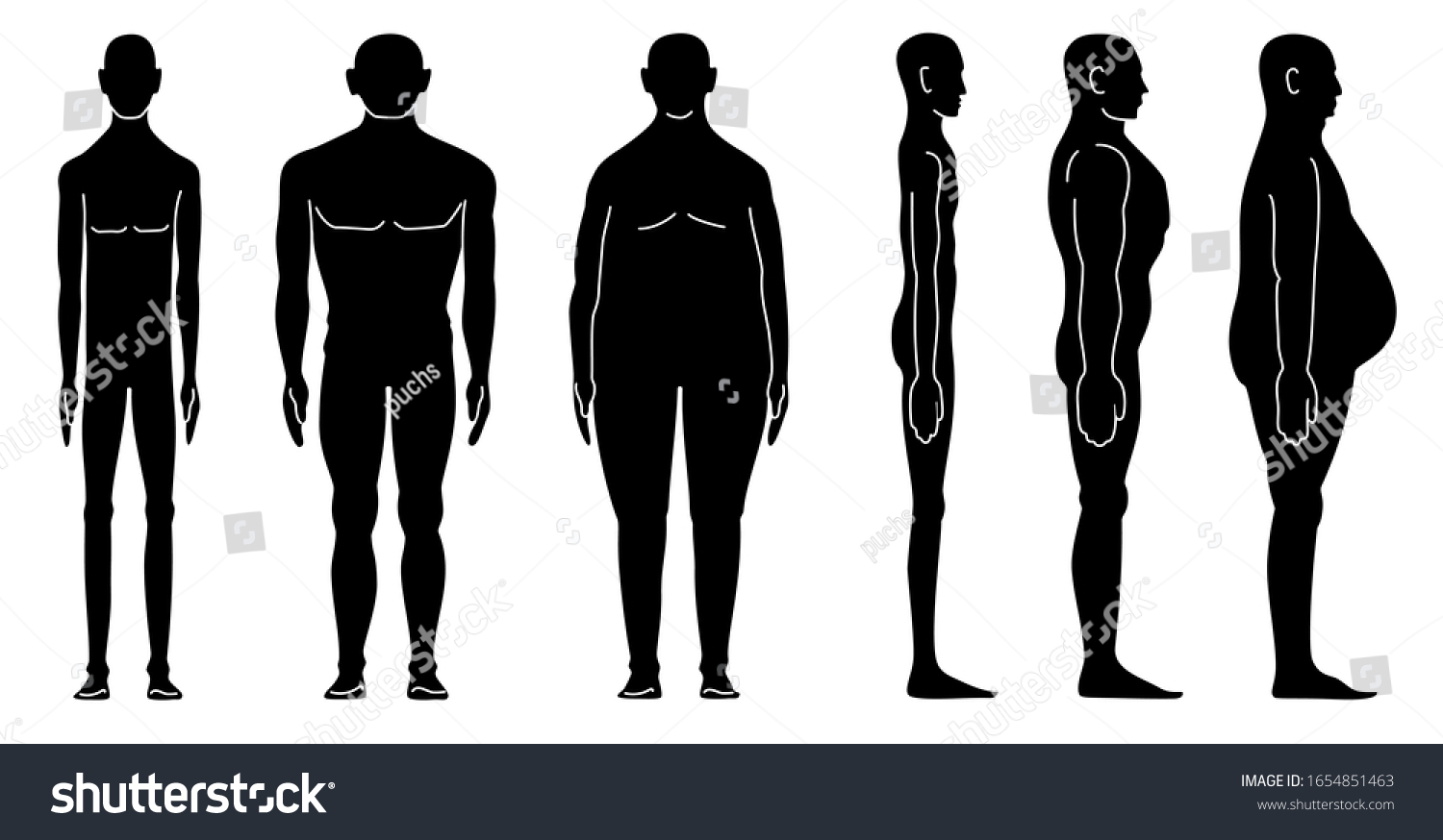 Male Body Types Ectomorph Mesomorph Endomorph Vector De Stoc (royalty ...