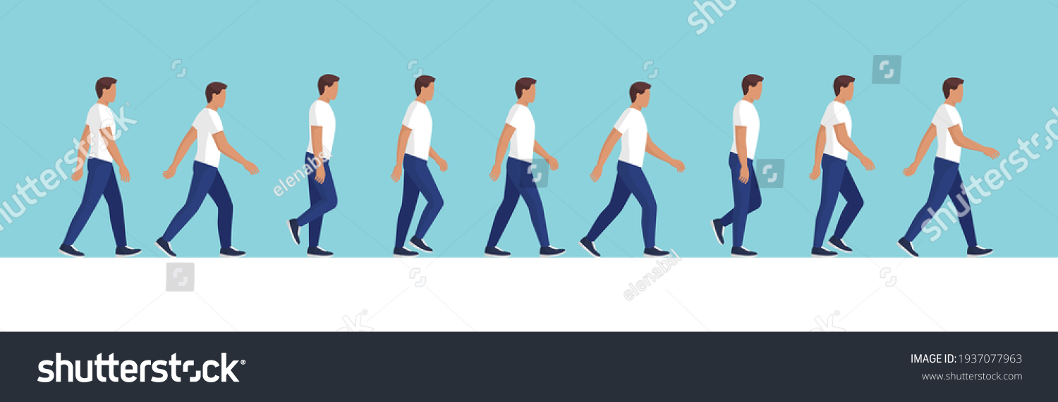 5,797 Man walking anatomy Images, Stock Photos & Vectors | Shutterstock