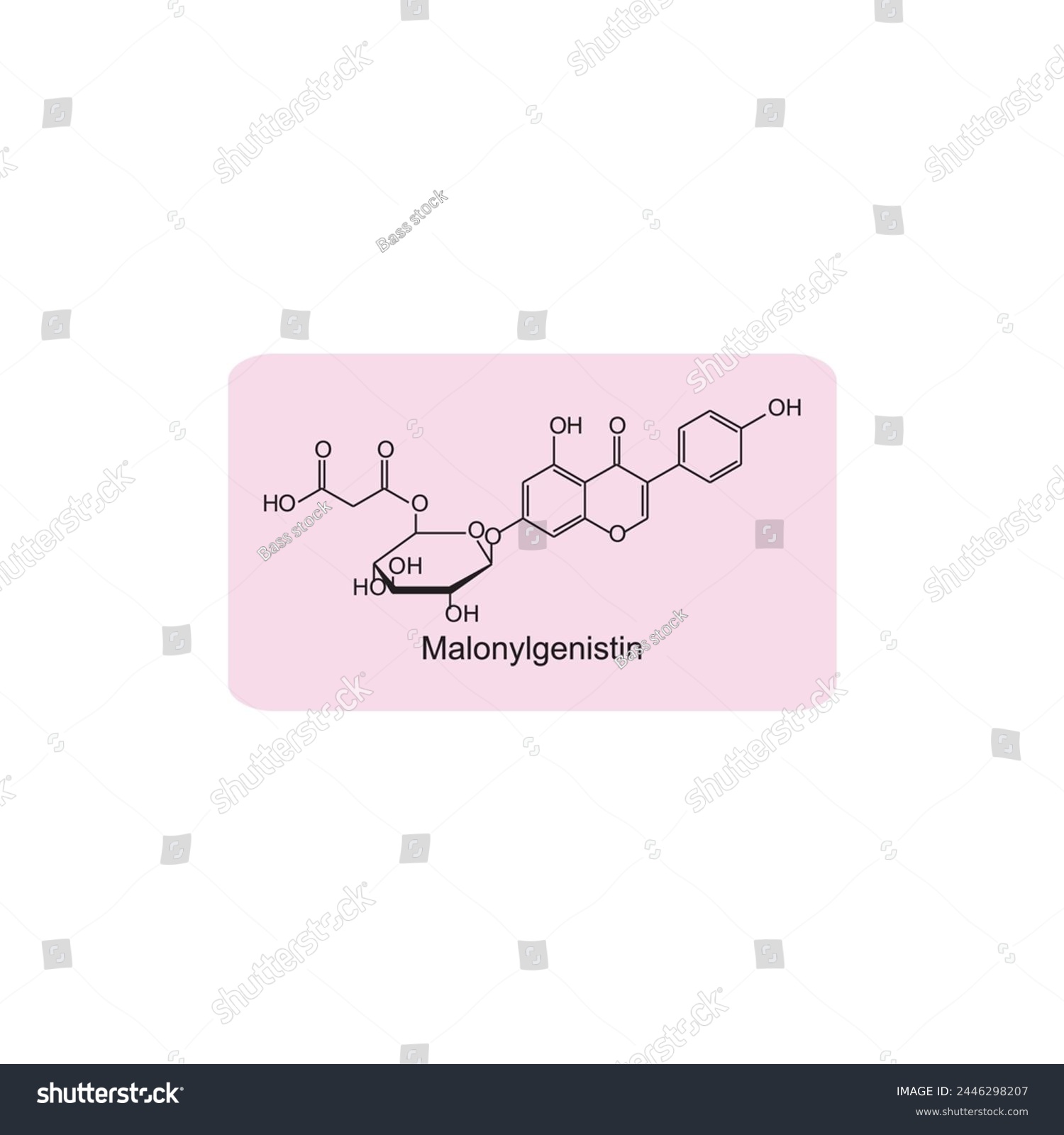 SVG of Malonyldaidzin skeletal structure diagram.Isoflavanone compound molecule scientific illustration on pink background. svg