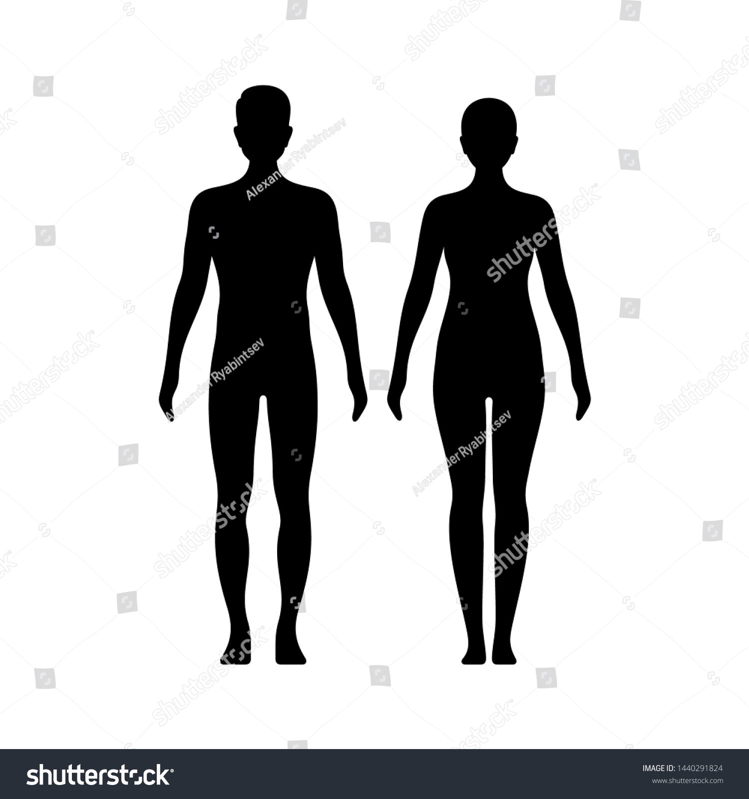 Man Woman Silhouettes Healthy Model Body Stock Vector (Royalty Free ...