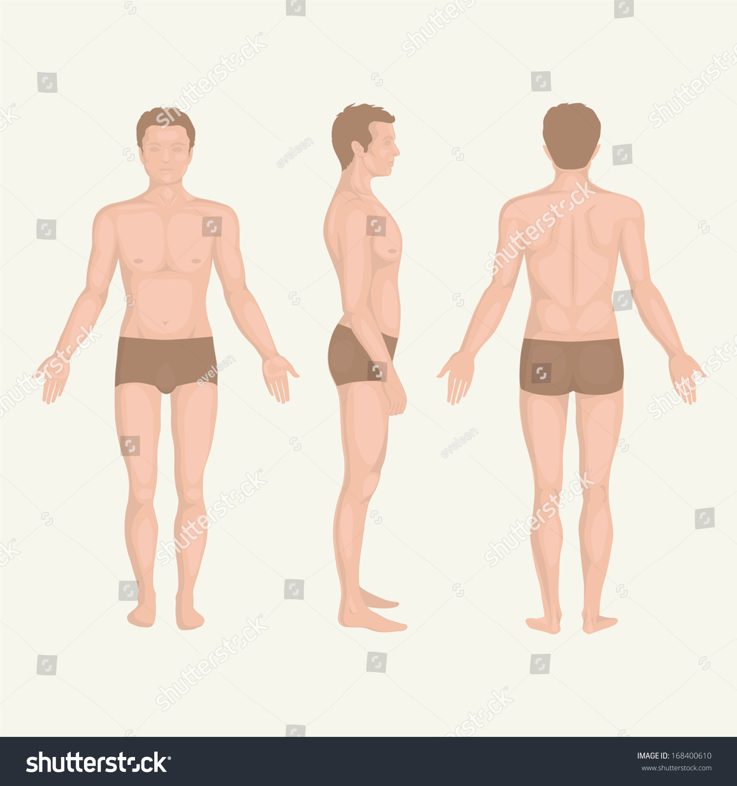 Man Body Anatomy Front Back Side Stock Vector Royalty Free 168400610