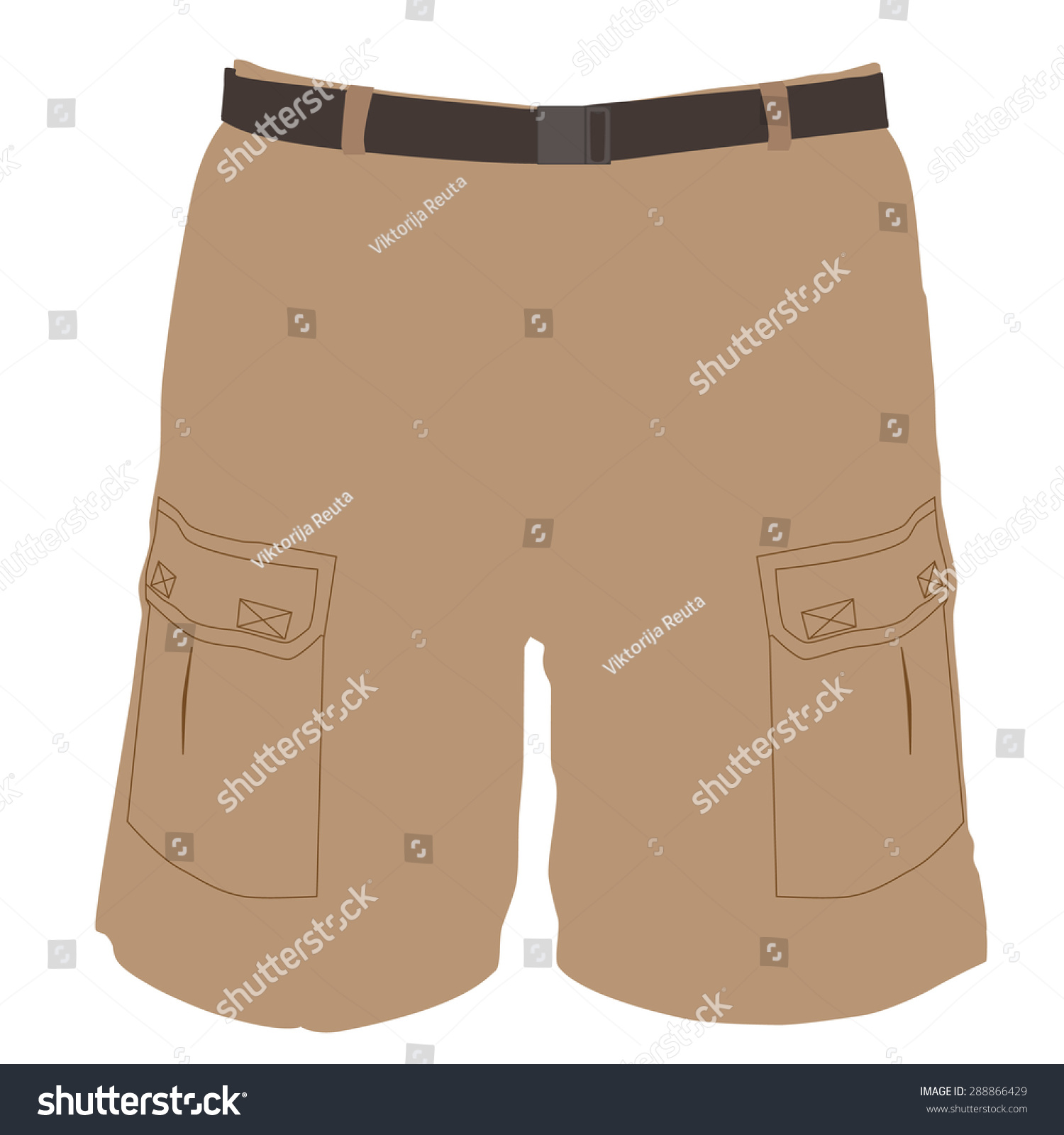 Man Brown Bermuda Shorts Vector Illustration Stock Vector 288866429 ...