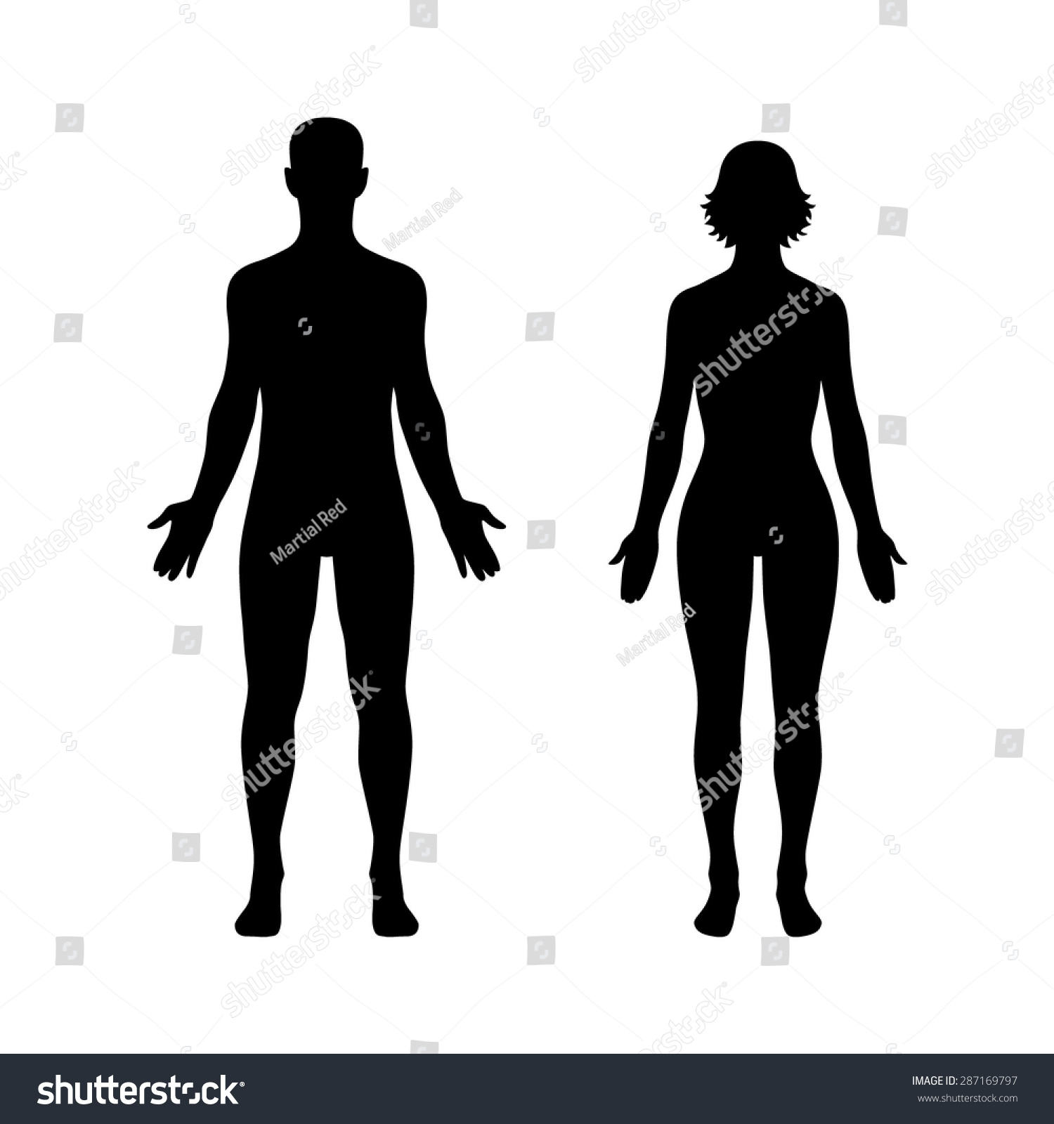 Man Woman Male Female Human Body Stock Vector 287169797 - Shutterstock