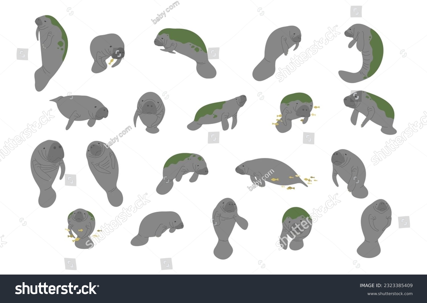SVG of Manatee collection 1 cute on a white background, vector illustration svg