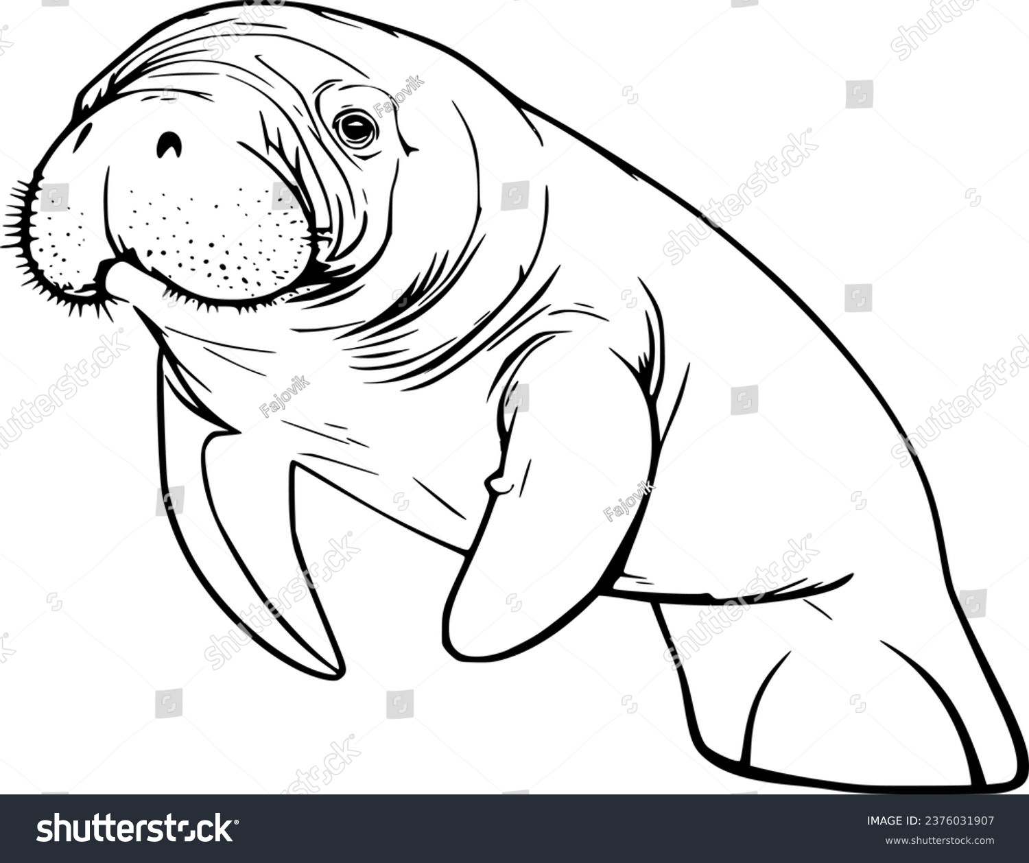 SVG of Manatee Realistic Animal Hand Drawn Illustration Vector For Coloring Book svg