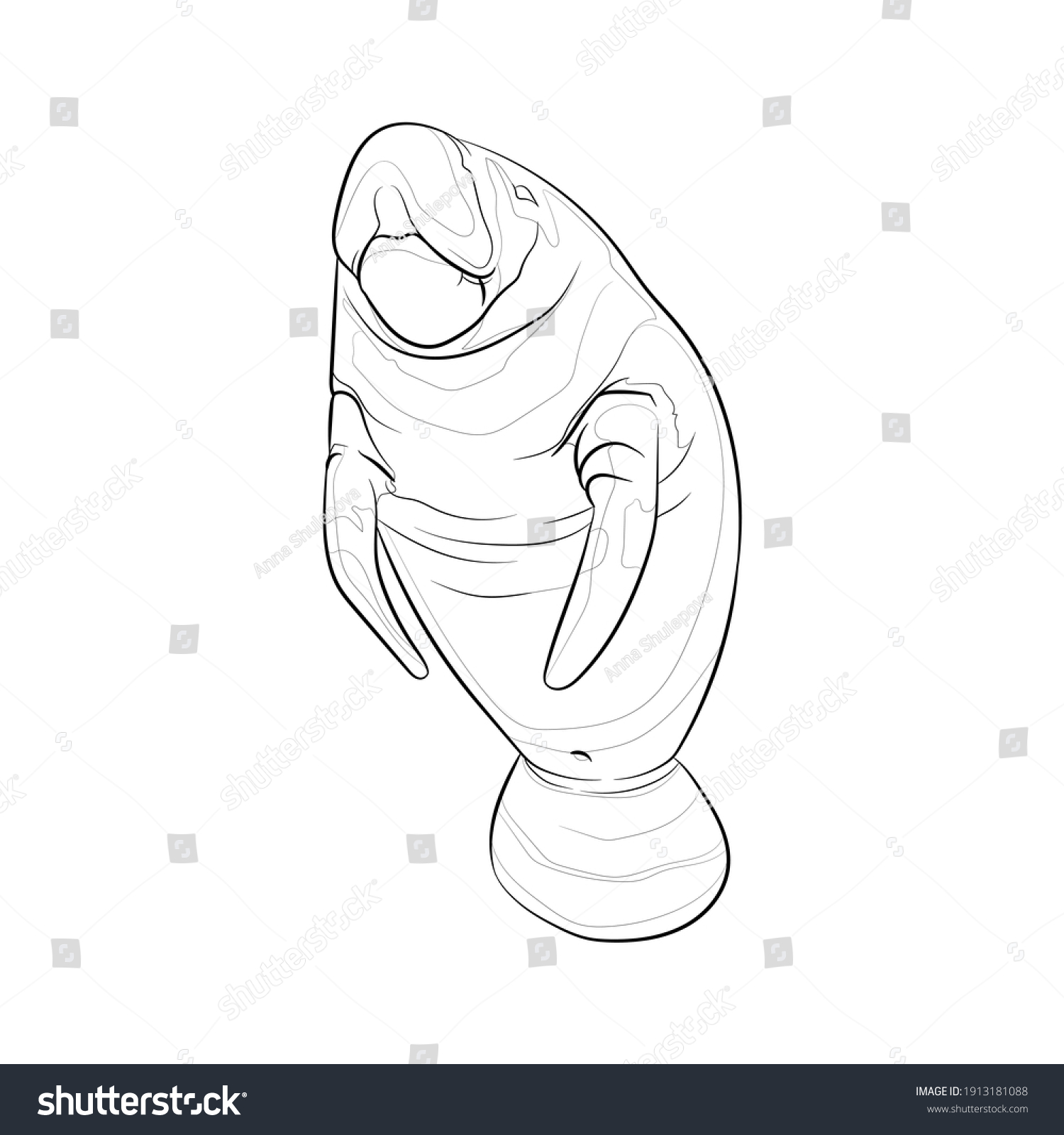 SVG of Manatee (Sea cow). Line drawing. Black and white illustration. Vector. svg