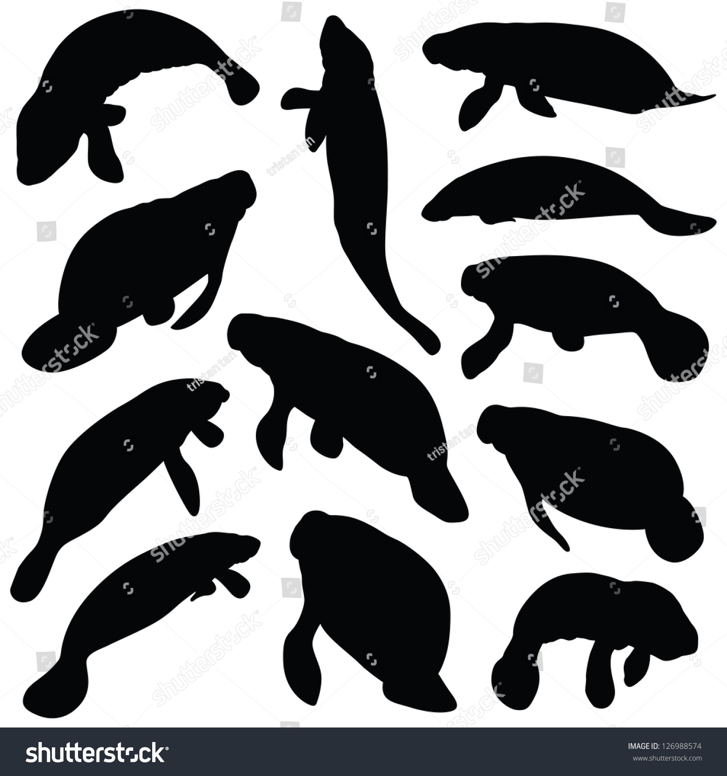 SVG of Manatee Silhouettes svg