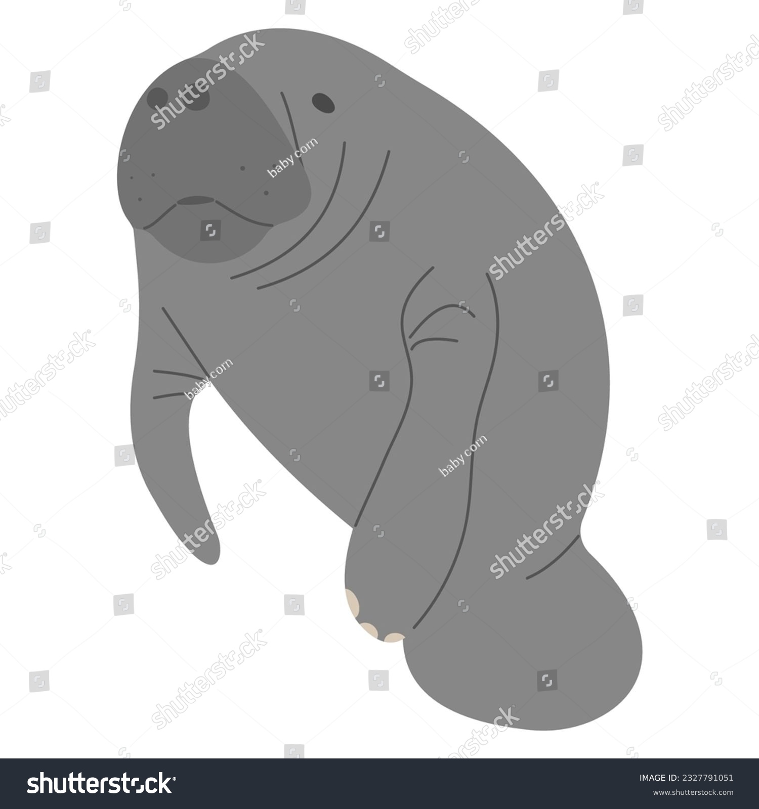 SVG of Manatee Single 11 cute on a white background, vector illustration svg