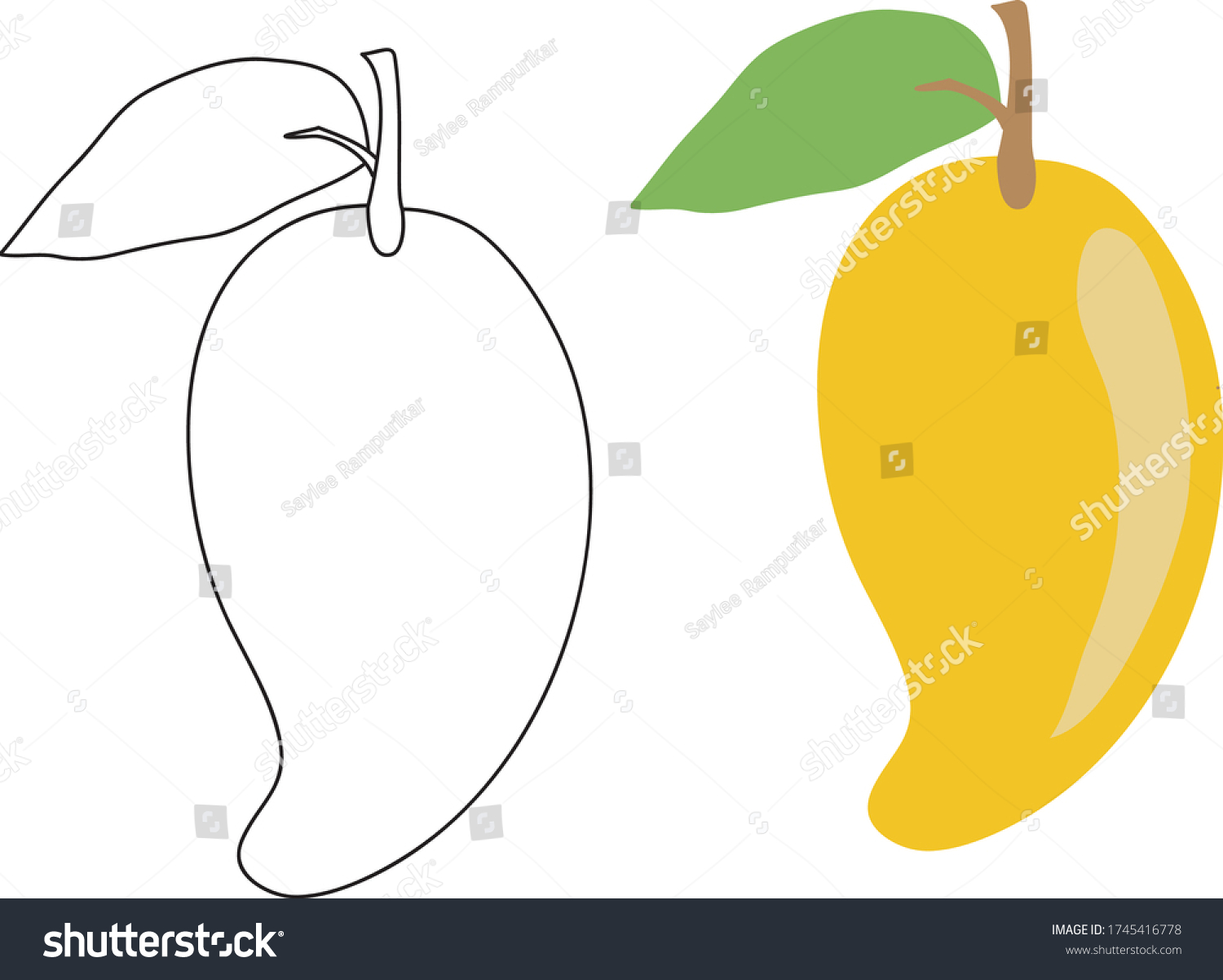 Featured image of post Mango Drawing For Kids Easy - Draw the shape of the leaf with who curved lines for its outer shape.