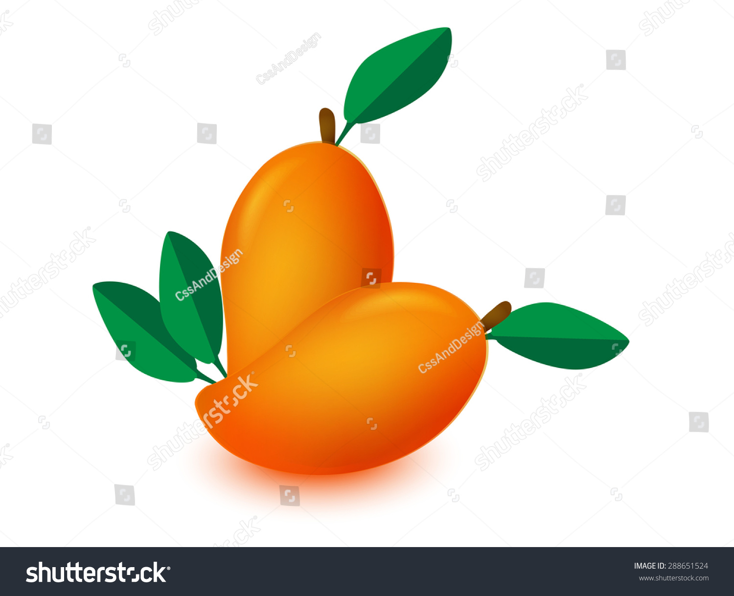 Mango Isolated Mango Vector Mango Stock Vector 288651524 - Shutterstock