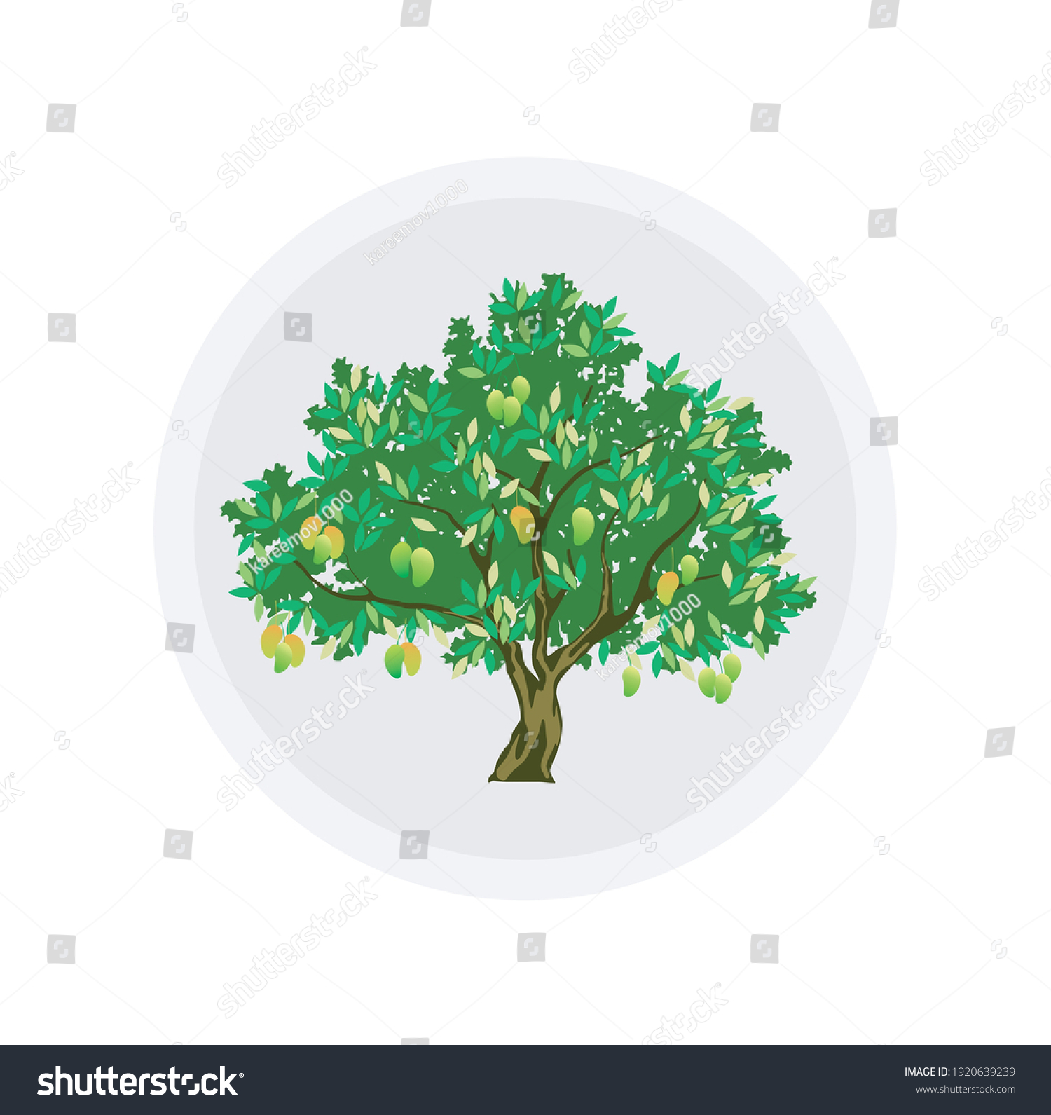 green mango tree, fruit, leaves, circle clip art preview