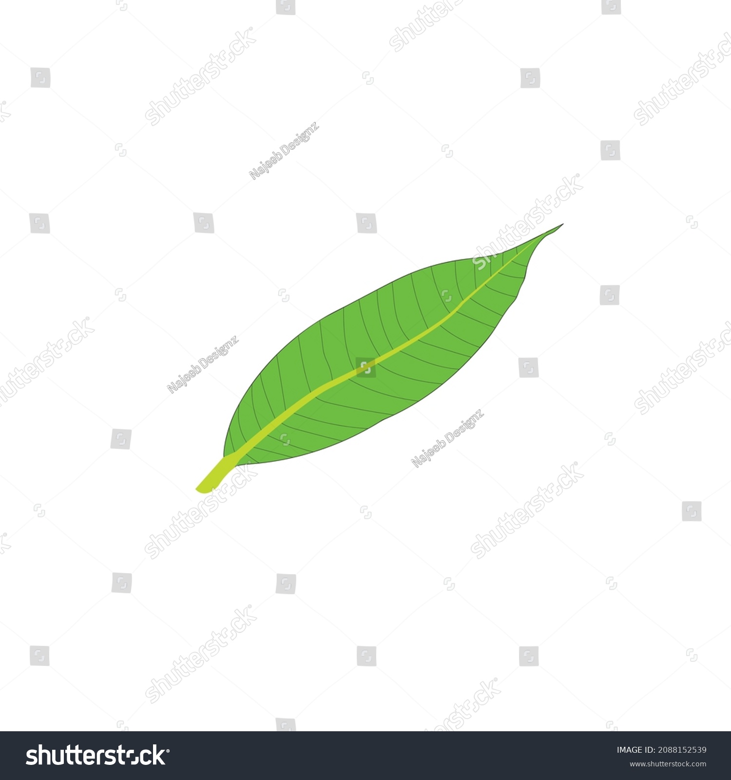 Mango Tree Green Leaf Vector File Stock Vector (Royalty Free) 2088152539