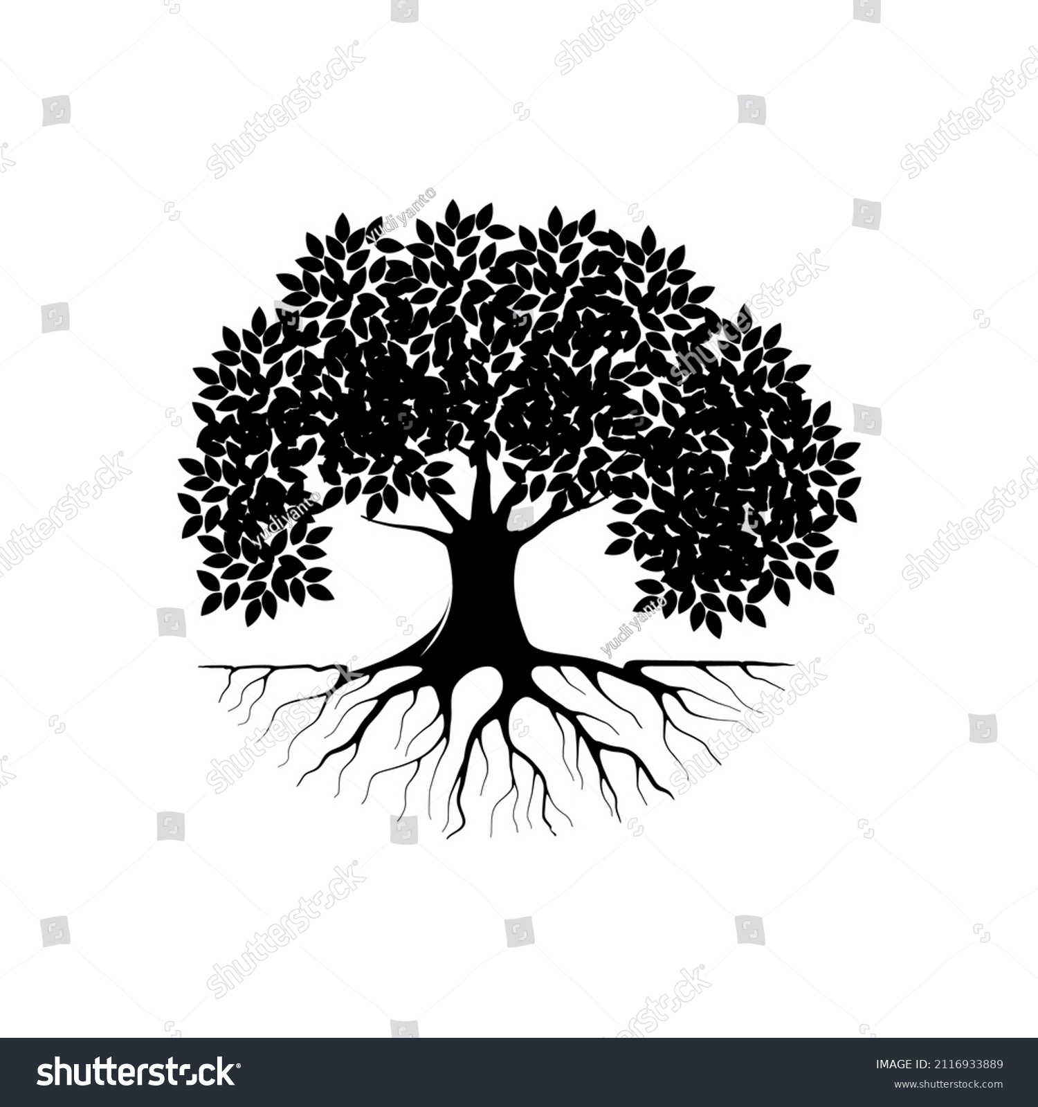 Mangrove Tree Vector Silhouette Black White Stock Vector (Royalty Free ...