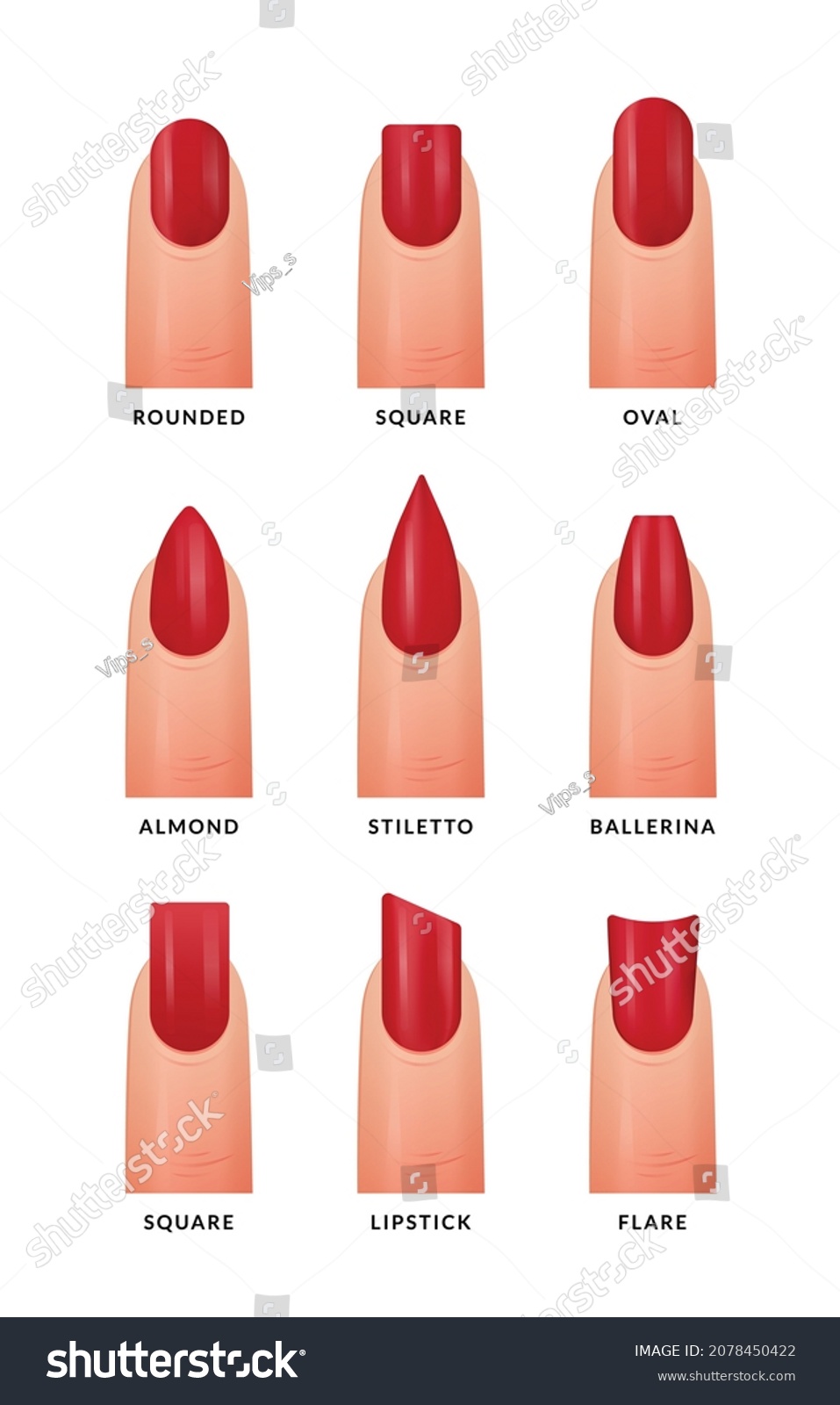 Manicured Nails Different Shapes Stock Vector (Royalty Free) 2078450422 ...