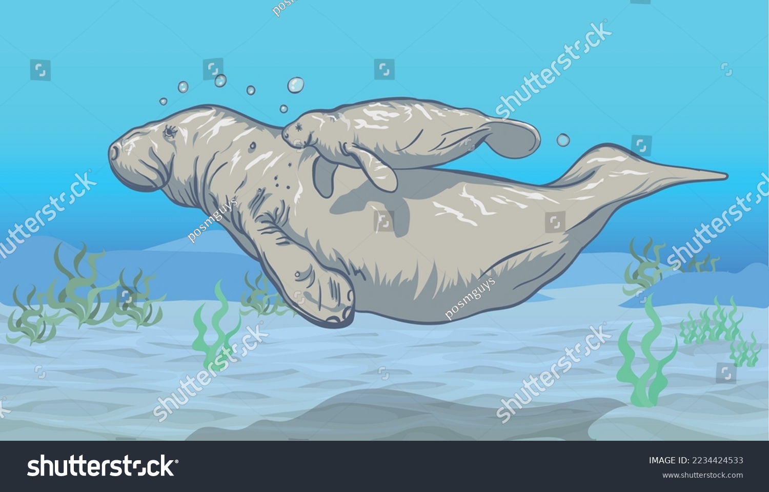SVG of Mantanees swimming under the sea vector. Manatee Dugong or sea cow cartoon. svg
