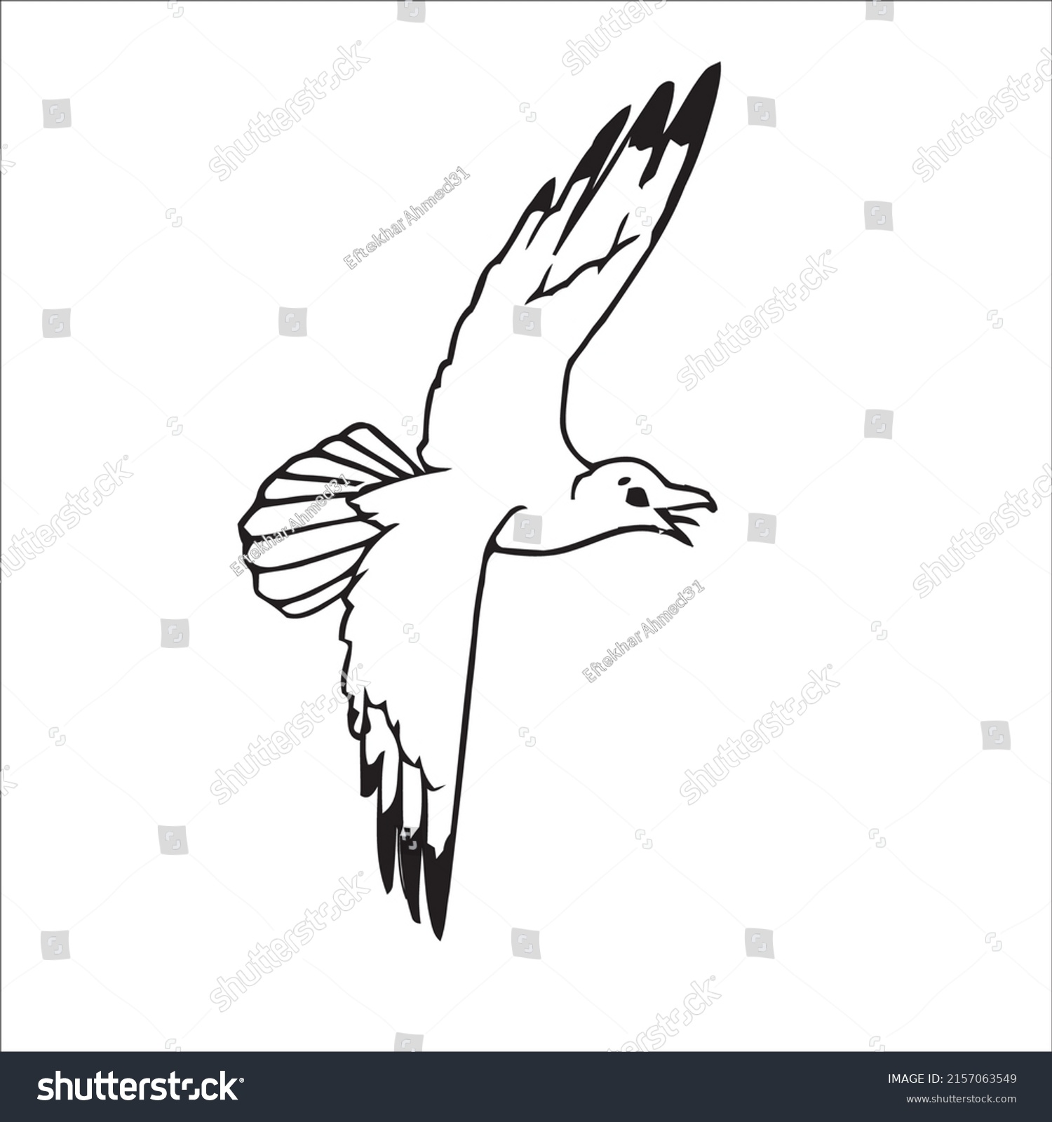 Many Line Art Bird Pictures Stock Vector (Royalty Free) 2157063549 ...