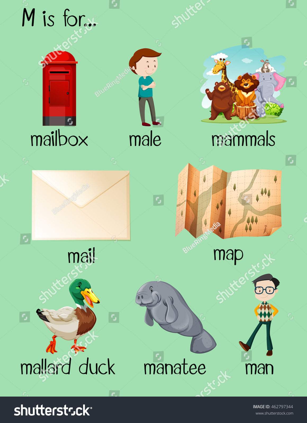 many-words-begin-letter-m-illustration-462797344-shutterstock