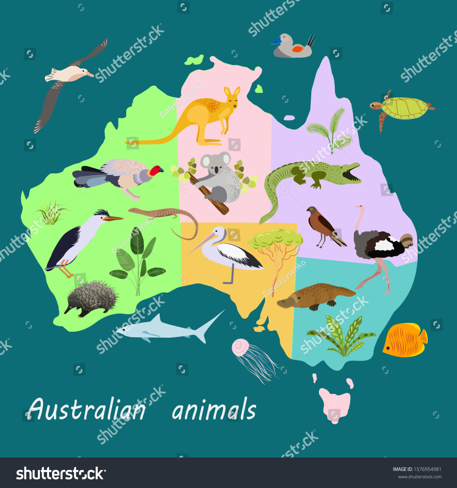 Map Australian Continent Cute Cartoon Animalsfunny Stock Vector ...