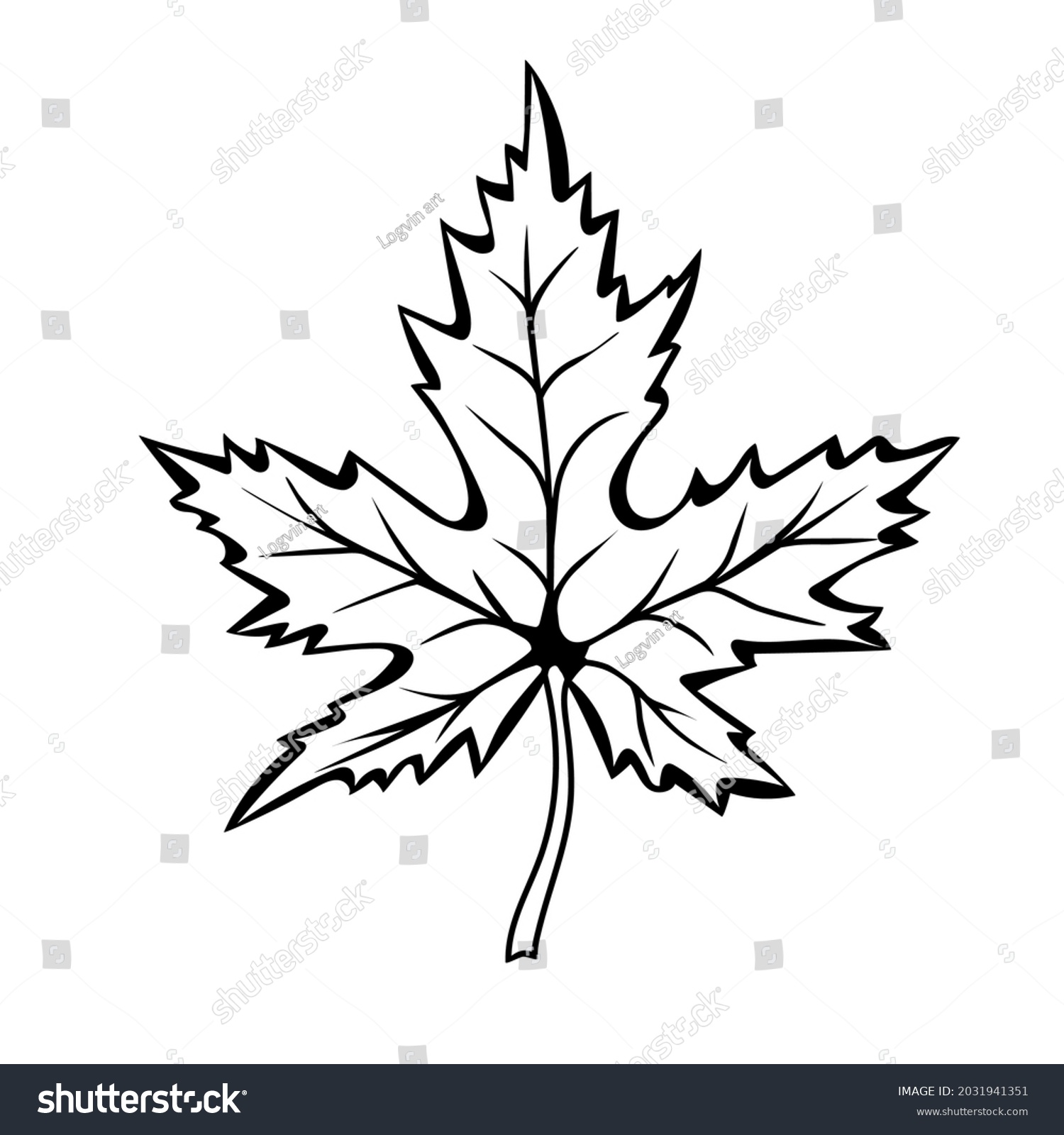 Maple Leaf Doodle Style Botanical Drawing Stock Vector (Royalty Free ...