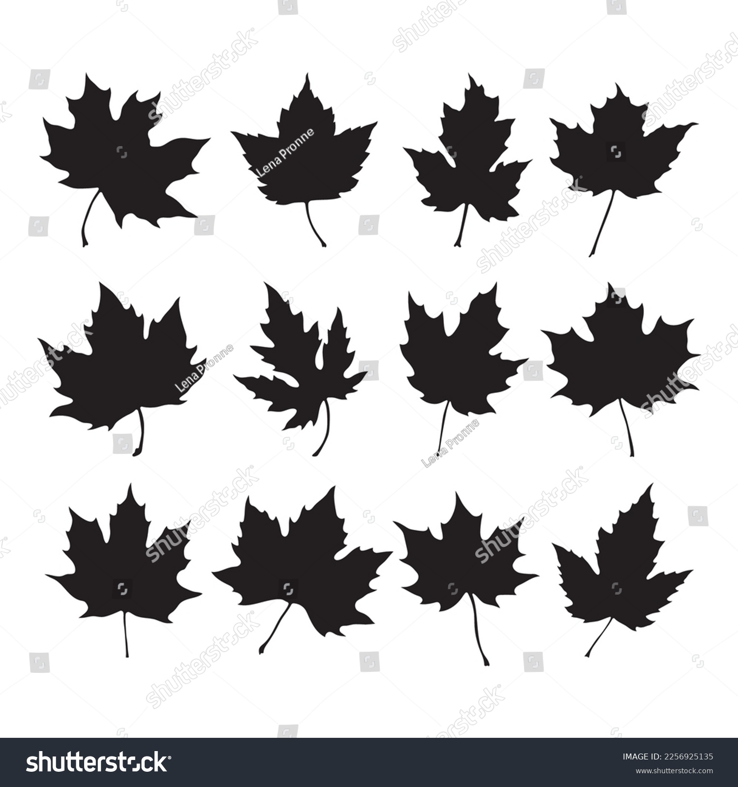 SVG of Maple leaf silhouette, stencil templates set, objects for cutting programs svg