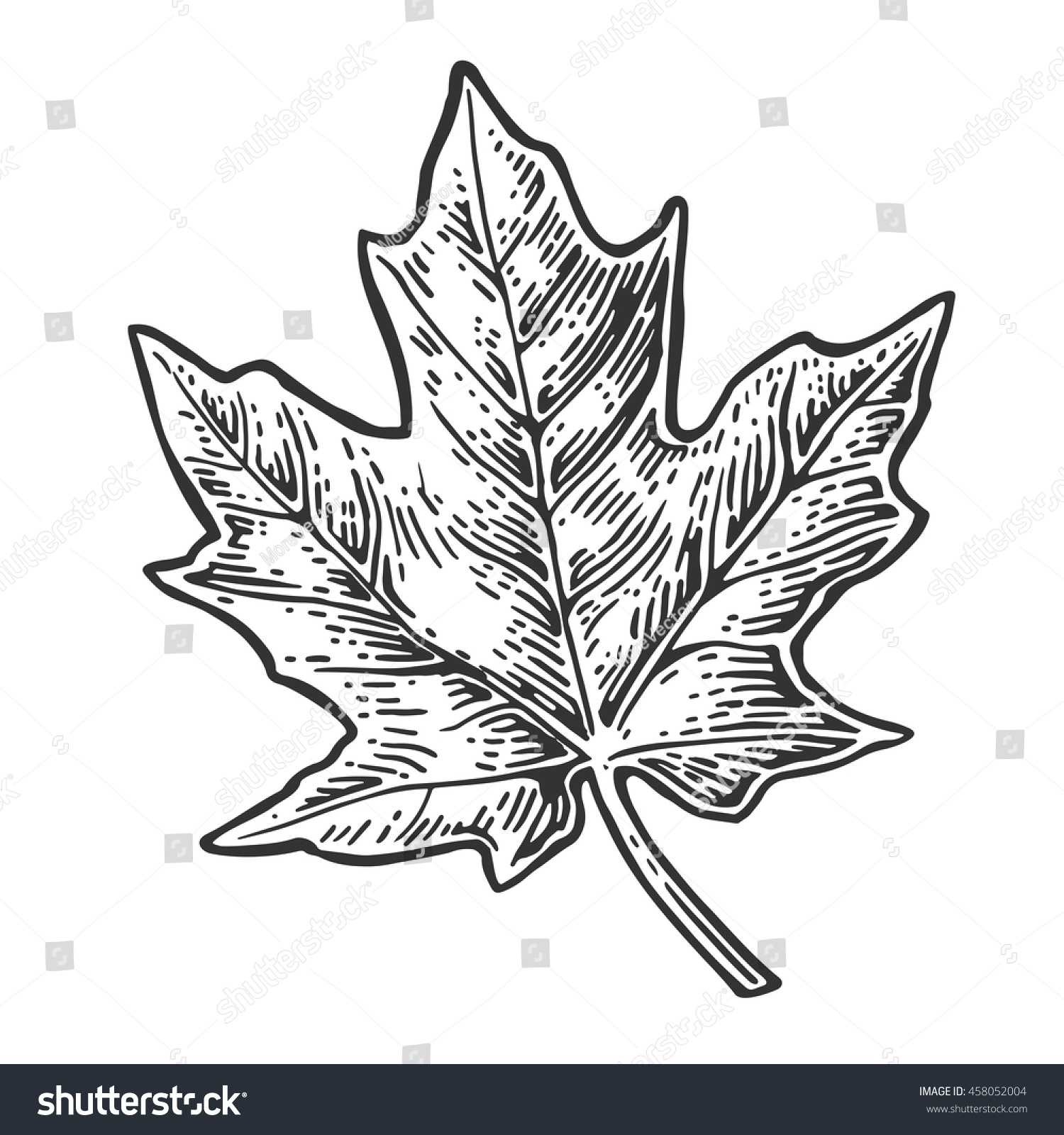 151,362 Vintage maple Images, Stock Photos & Vectors | Shutterstock