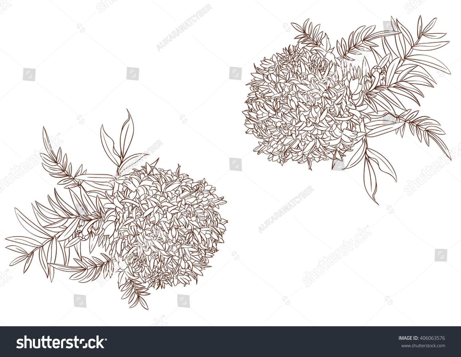  Marigold Drawing Flower Stock Vector 406063576 - Shutterstock