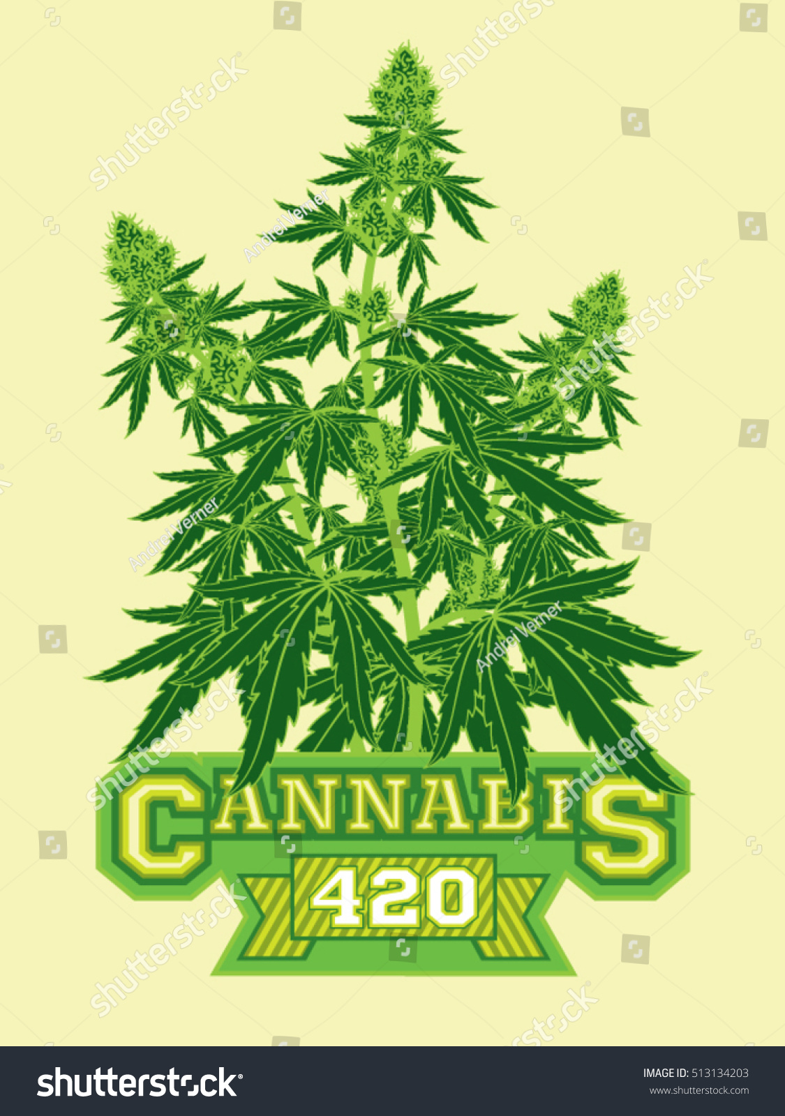 Marijuana Cannabis 420 Flyer Poster Template vetor stock (livre de