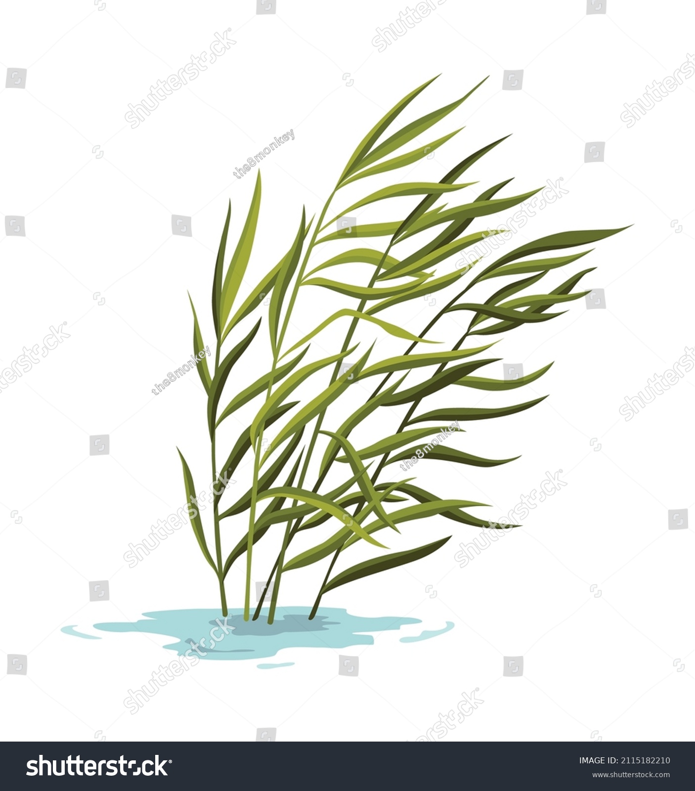 Bog-plants Images, Stock Photos & Vectors | Shutterstock