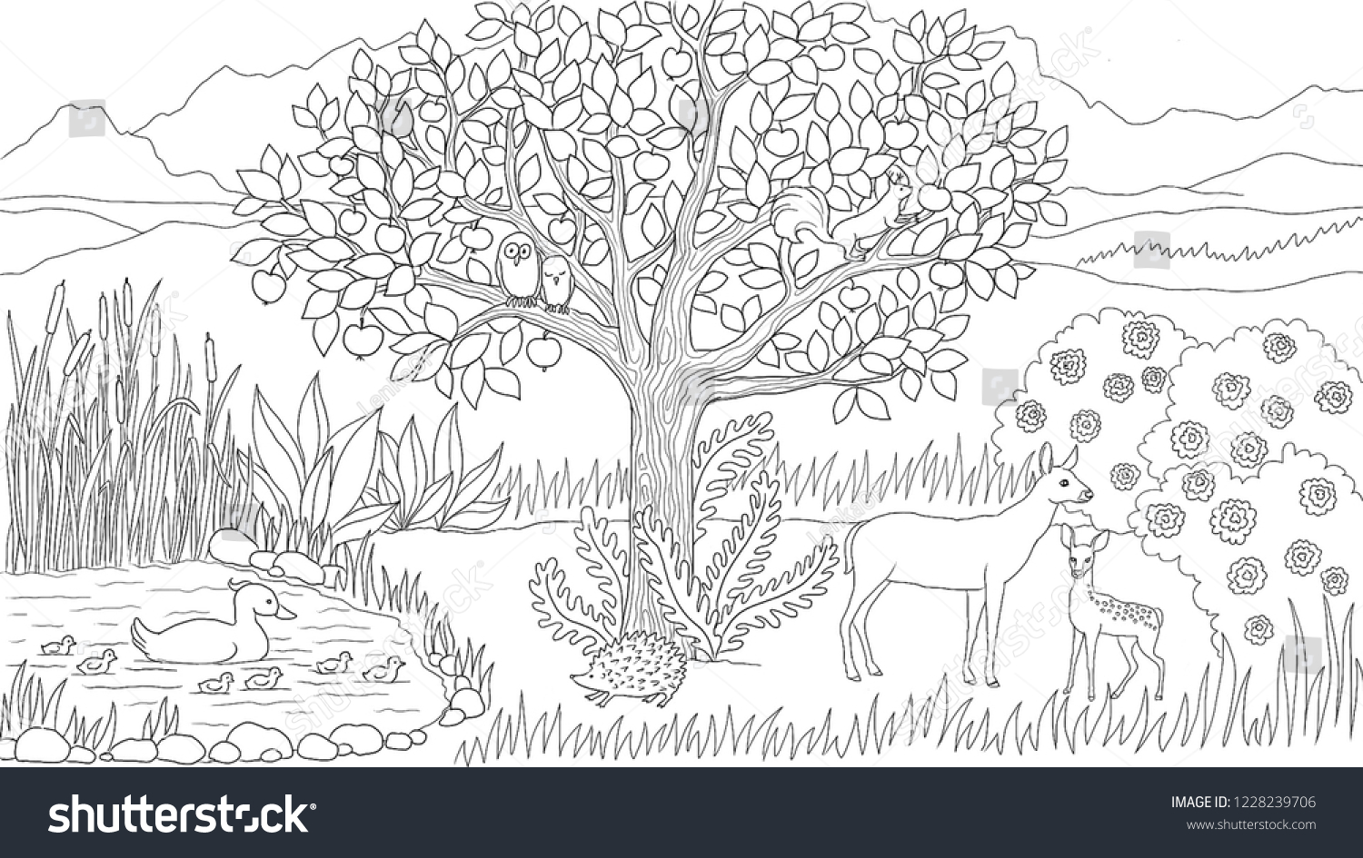 Meadow Nature Animals Vector Illustration Coloring: เวกเตอร์สต็อก (ปลอด